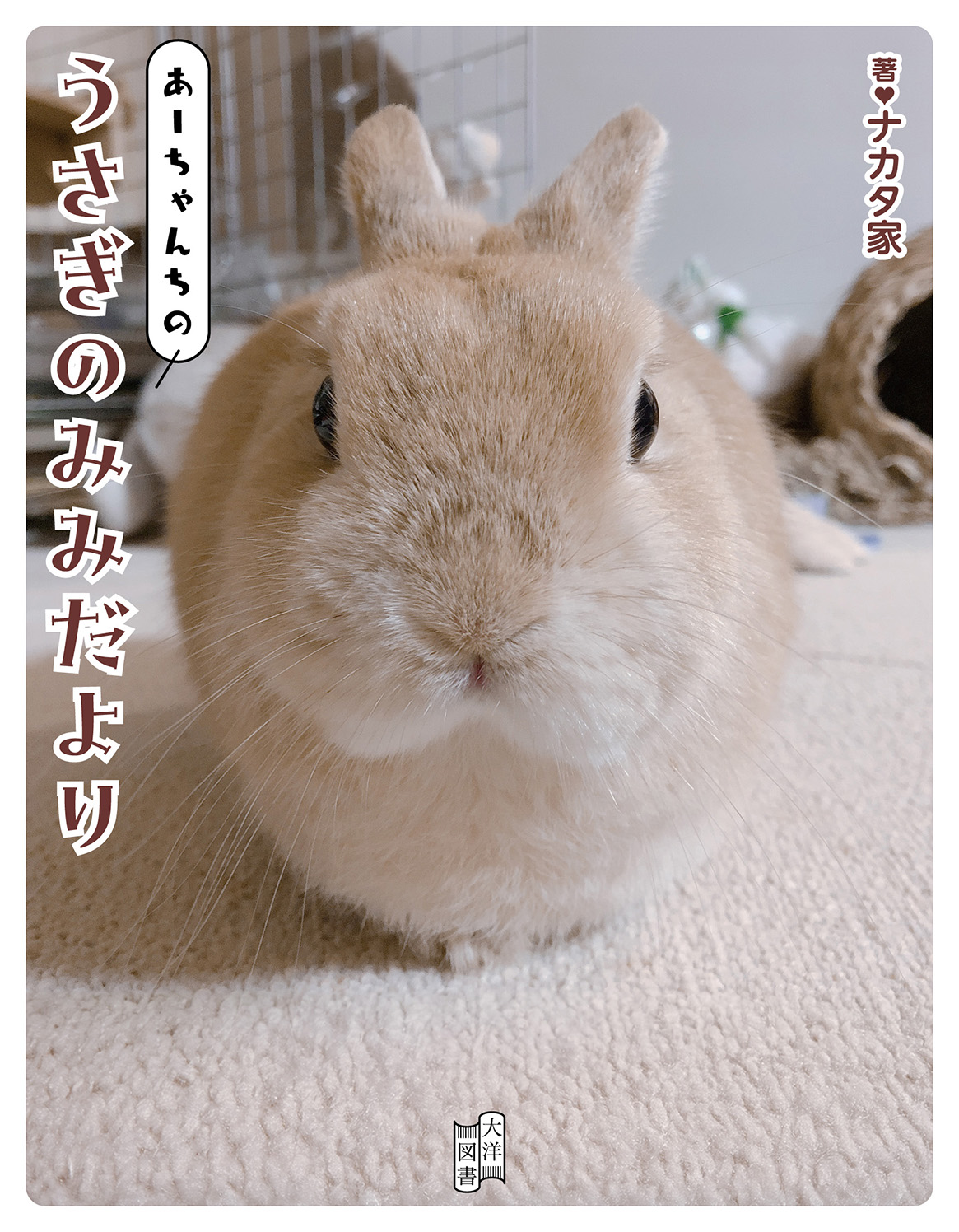 メイン画像