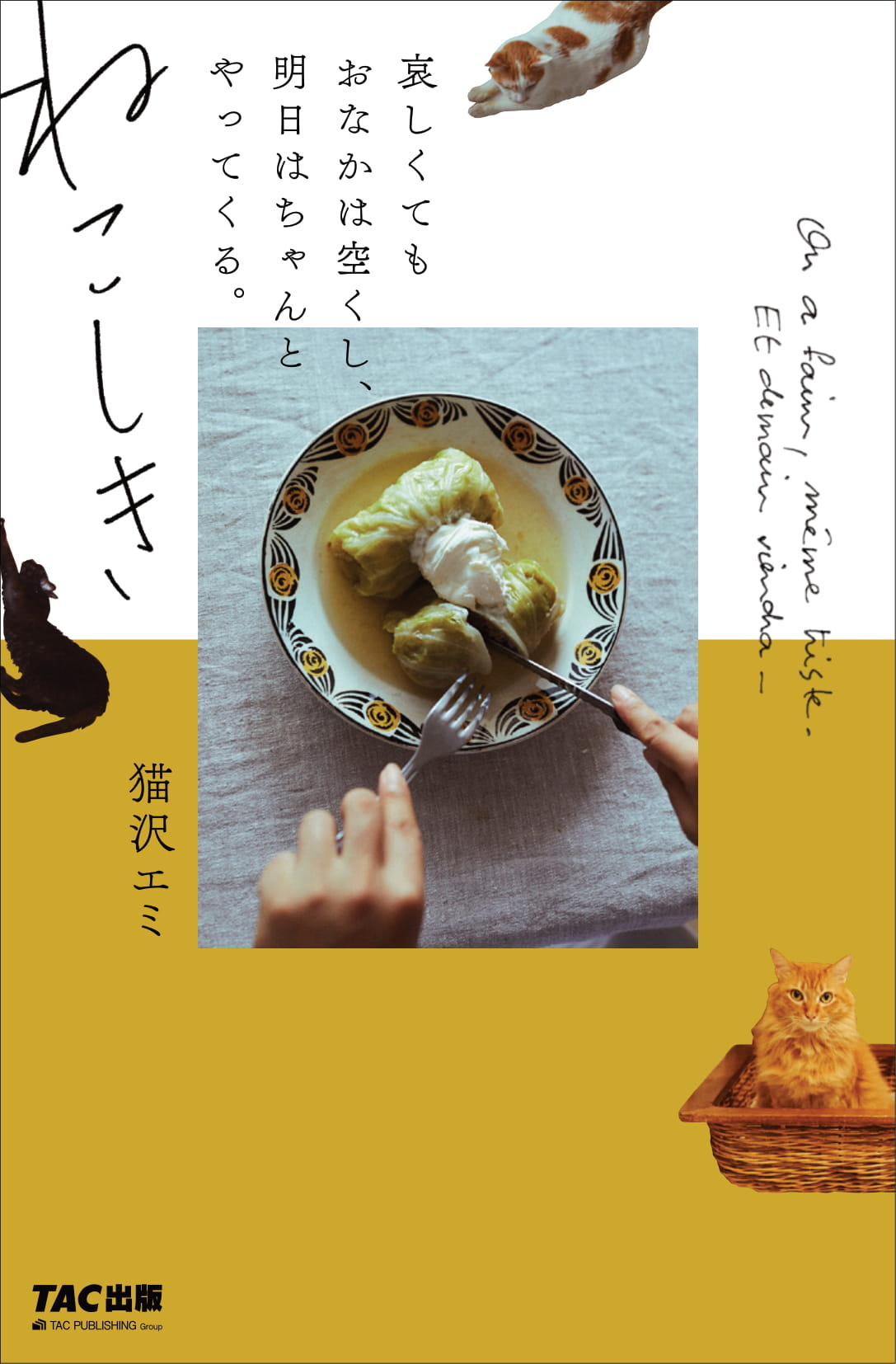 メイン画像