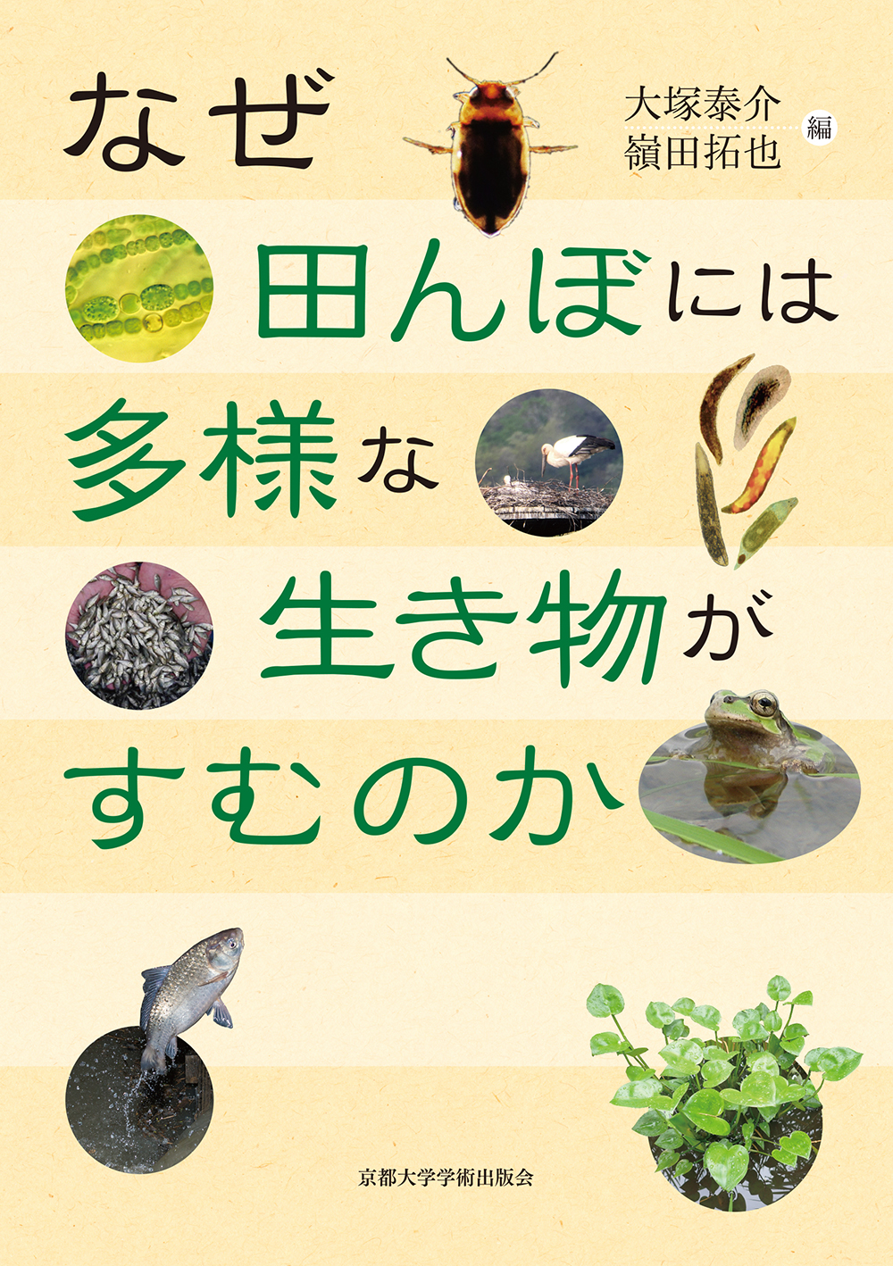 メイン画像