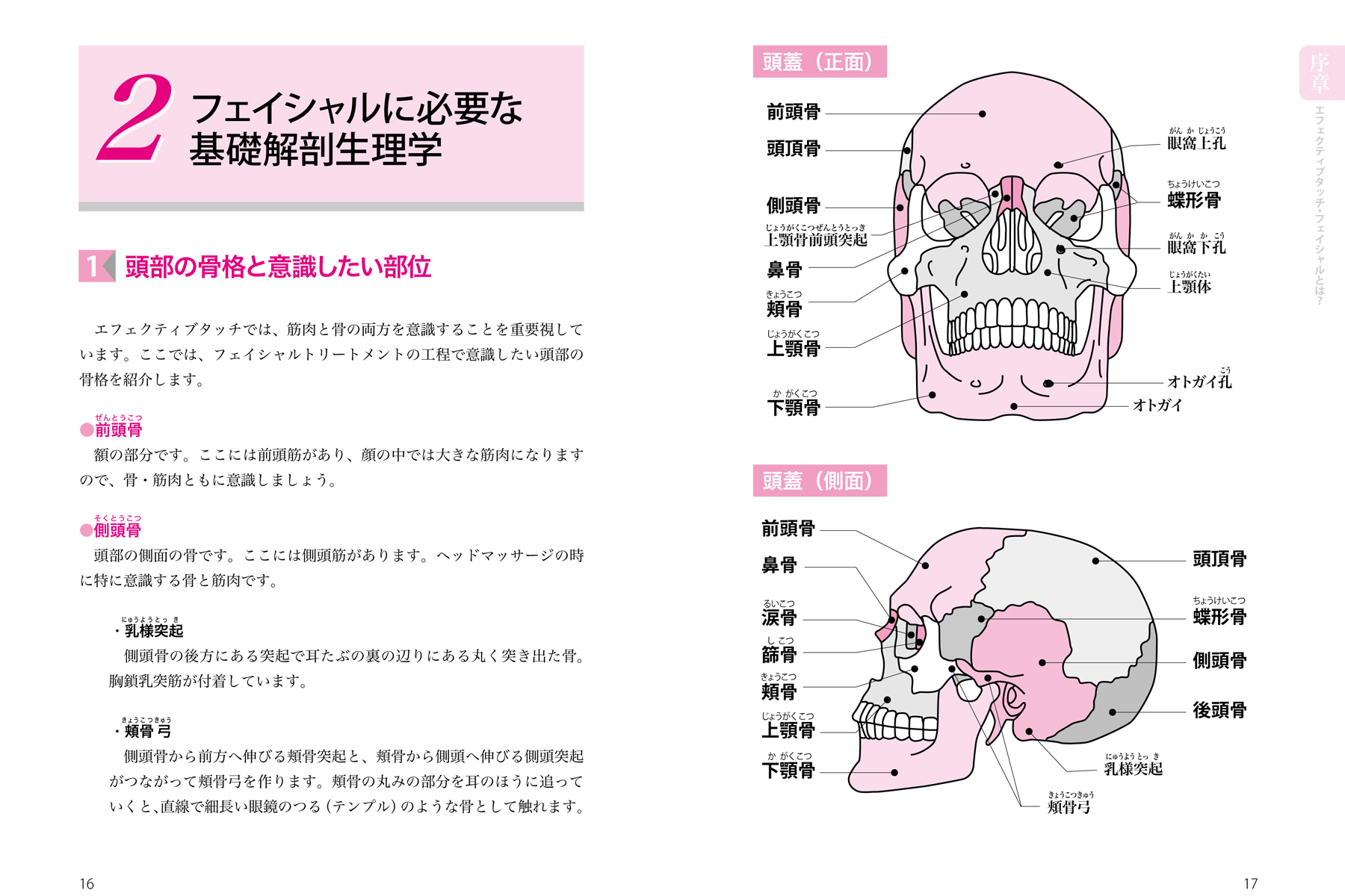 サムネイル画像2