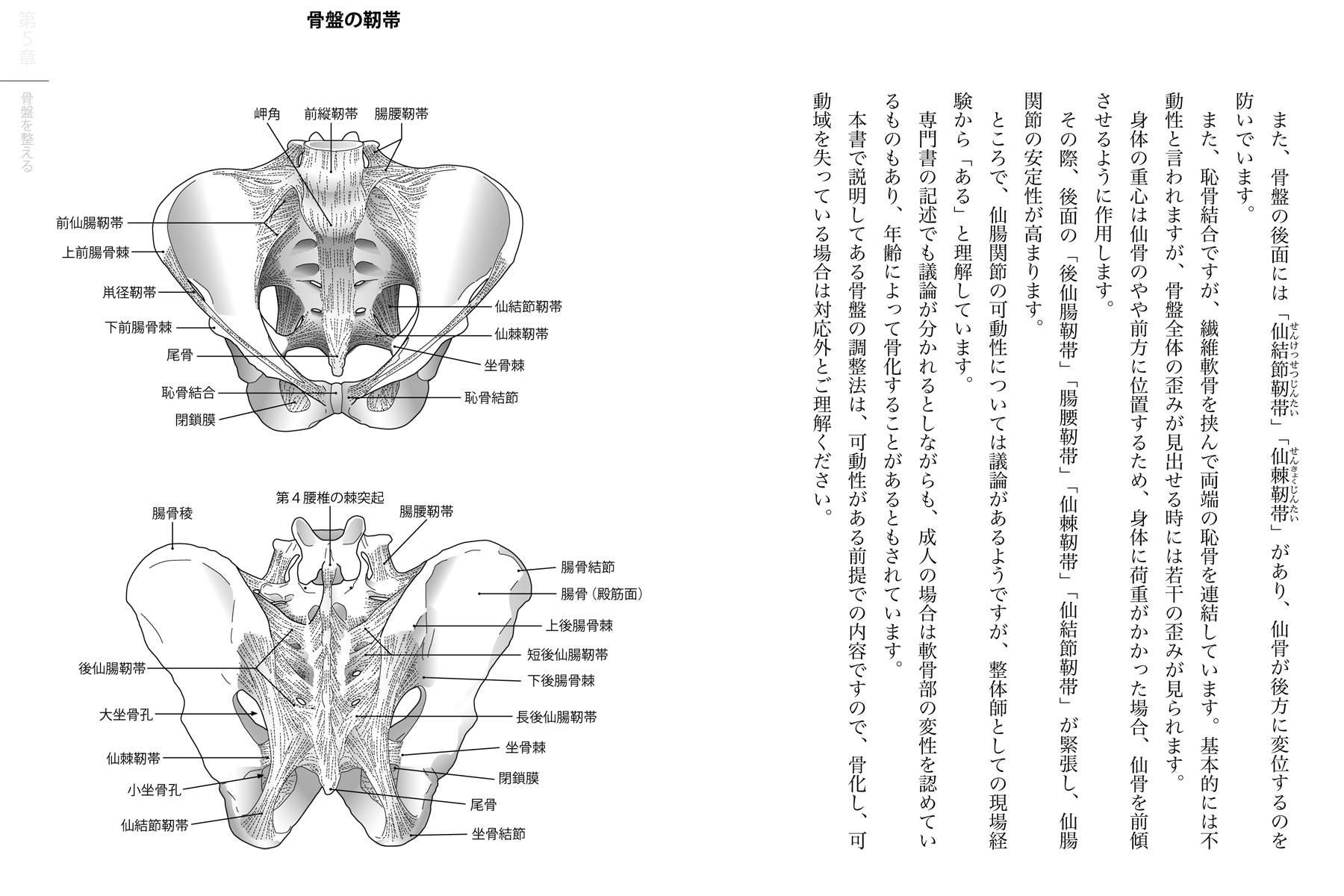 サムネイル画像2