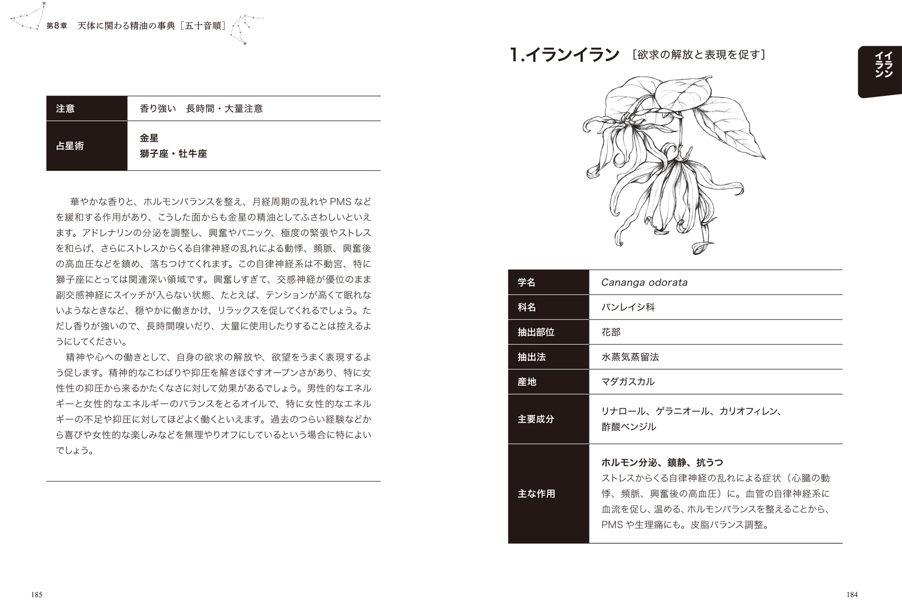 サムネイル画像4