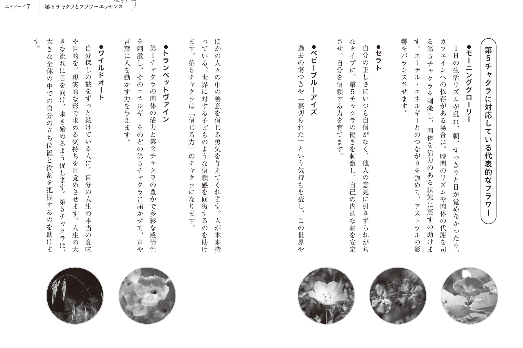 サムネイル画像4