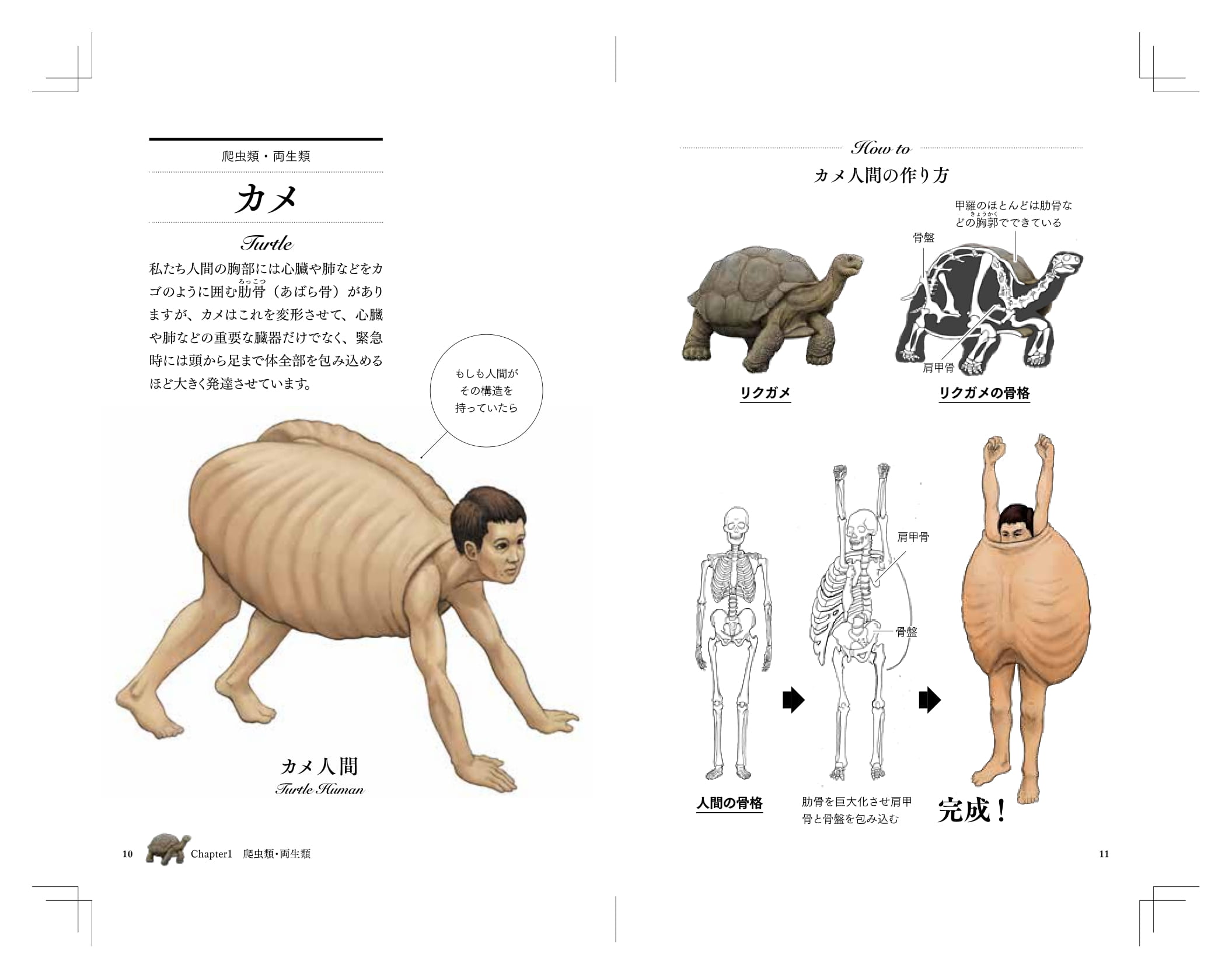 サムネイル画像1