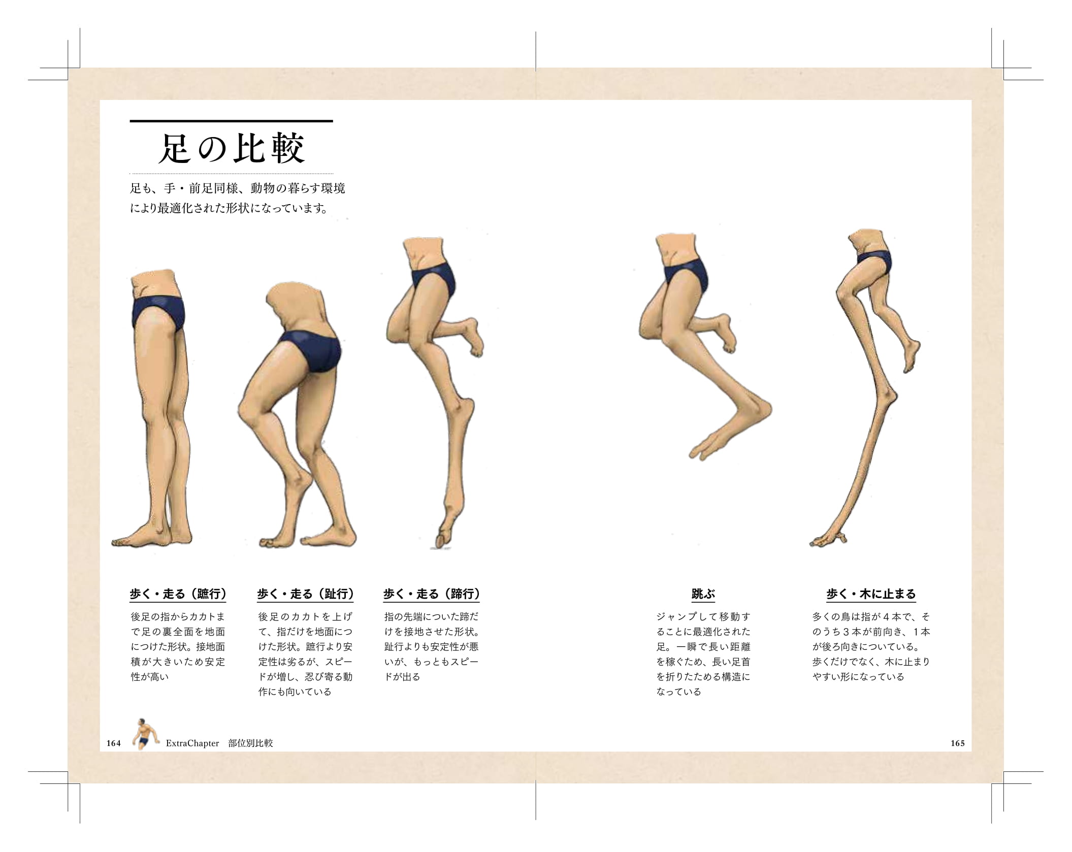 サムネイル画像2