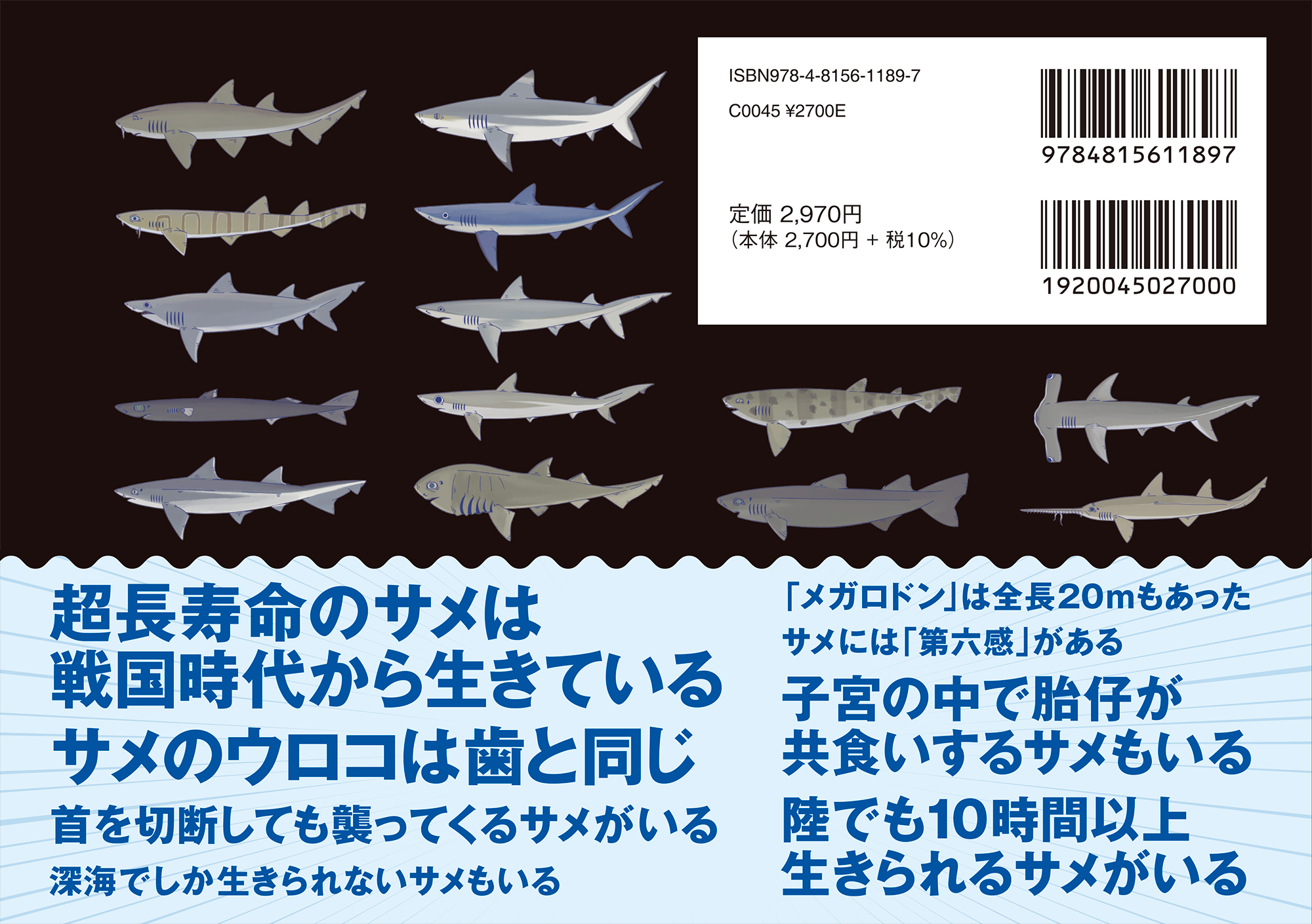 サムネイル画像2
