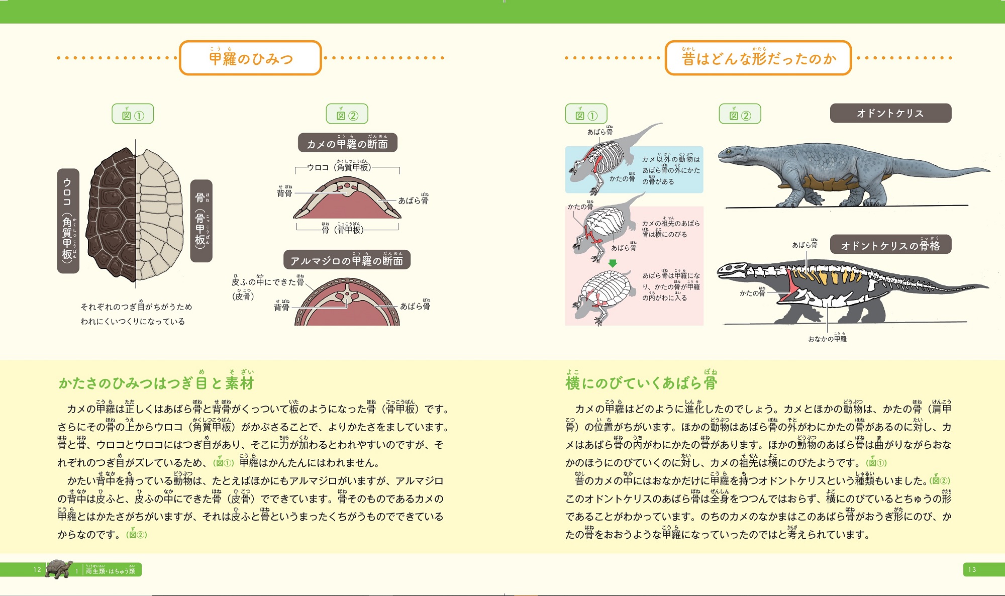 サムネイル画像4