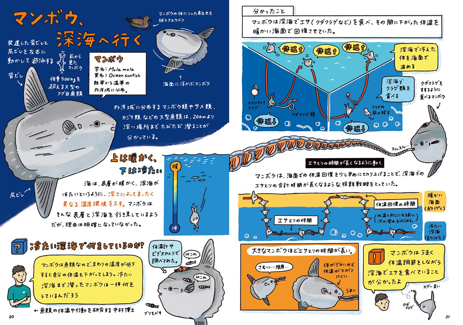 サムネイル画像1