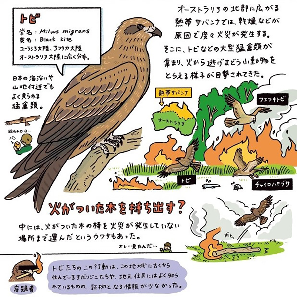 サムネイル画像2
