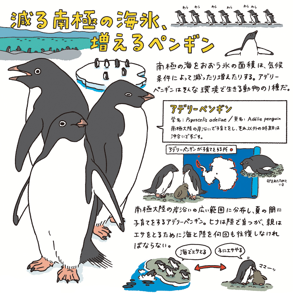 サムネイル画像4