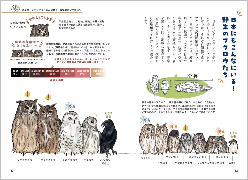 サムネイル画像2