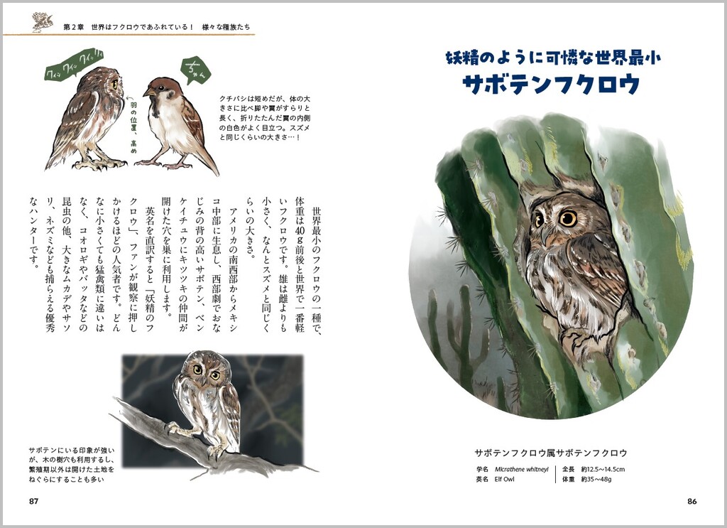 サムネイル画像3