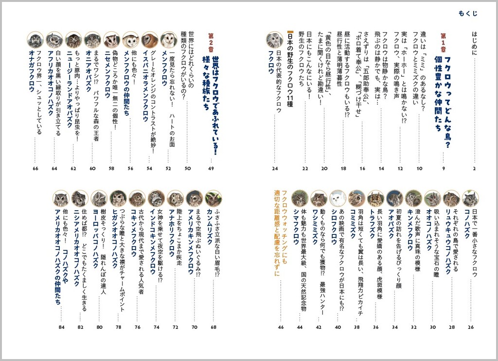 サムネイル画像5