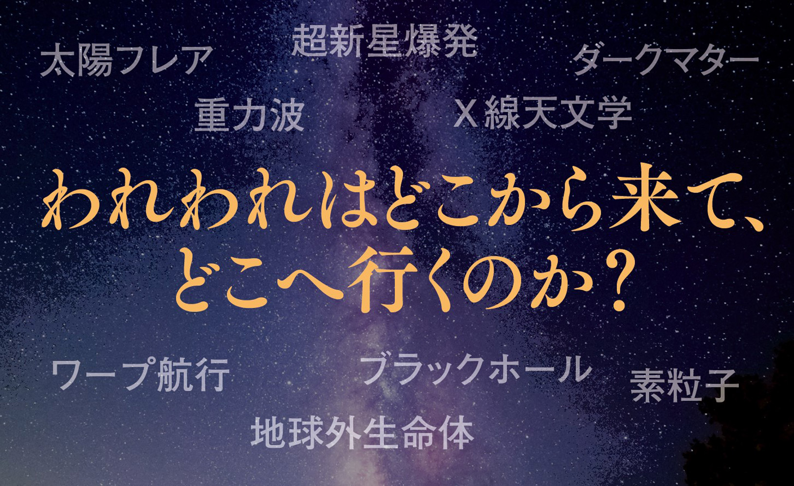 サムネイル画像2
