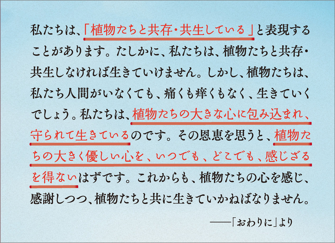 サムネイル画像2