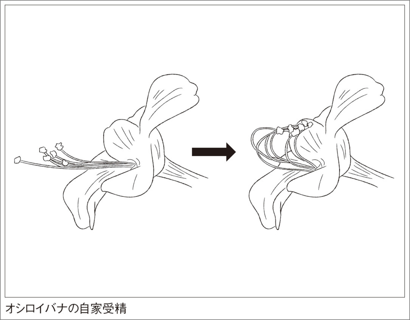 サムネイル画像3