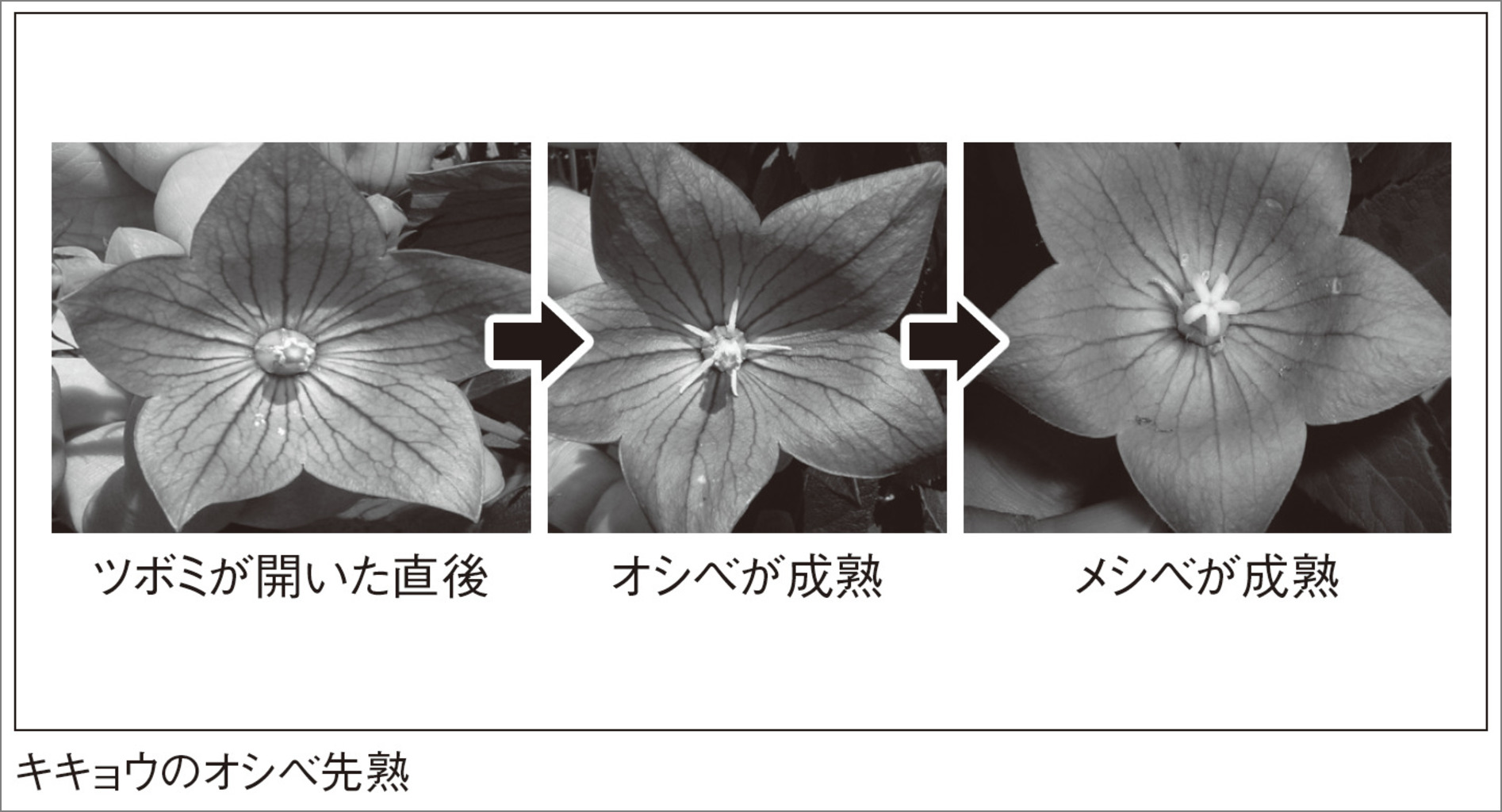サムネイル画像4