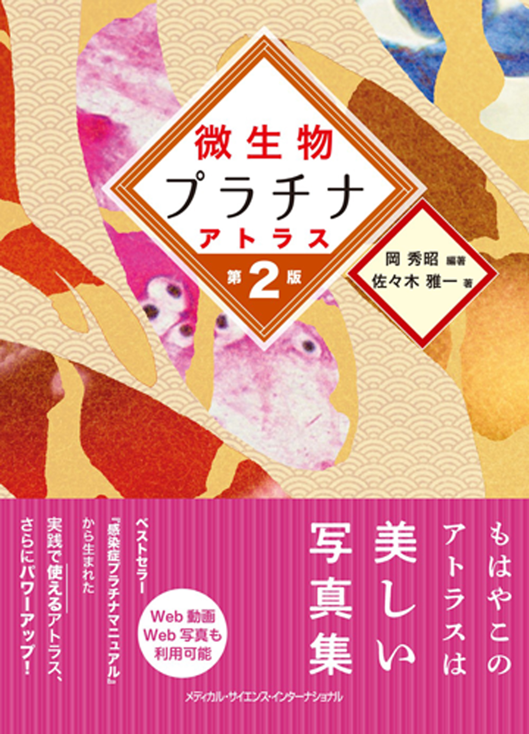 メイン画像