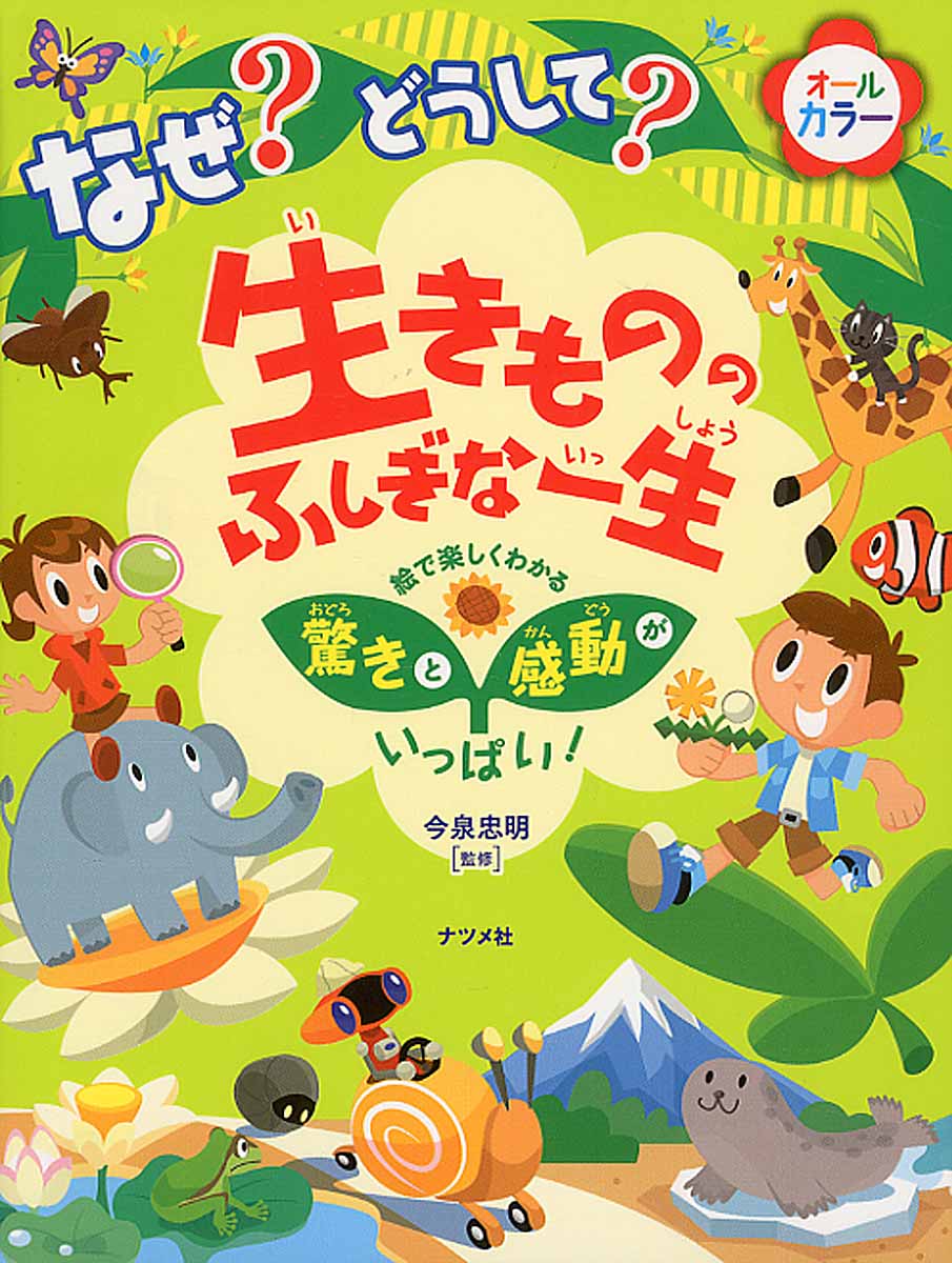 メイン画像