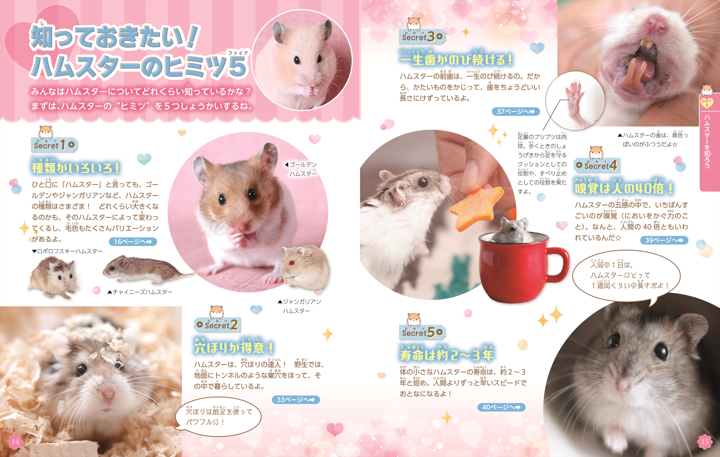 サムネイル画像1