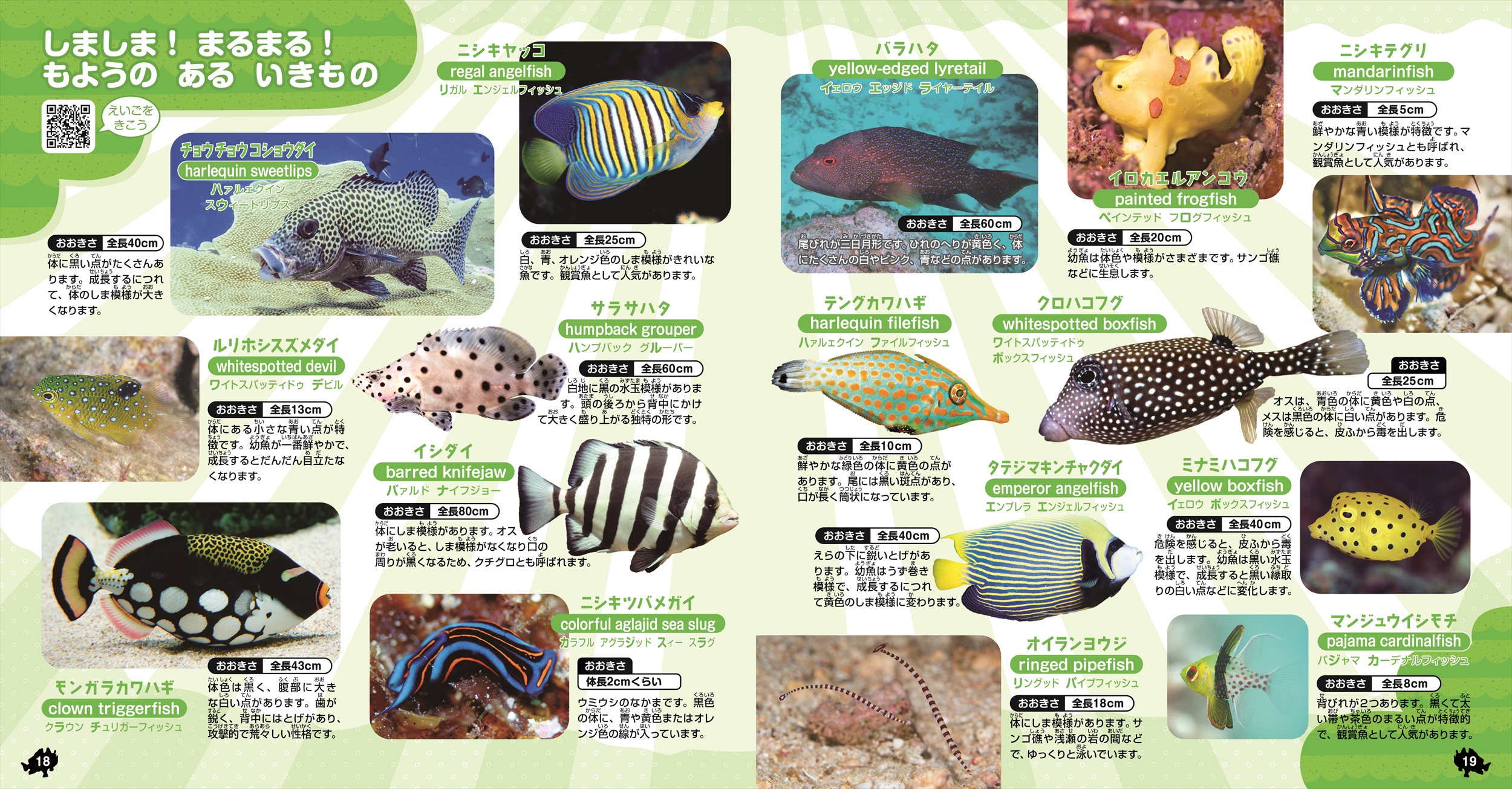 サムネイル画像2