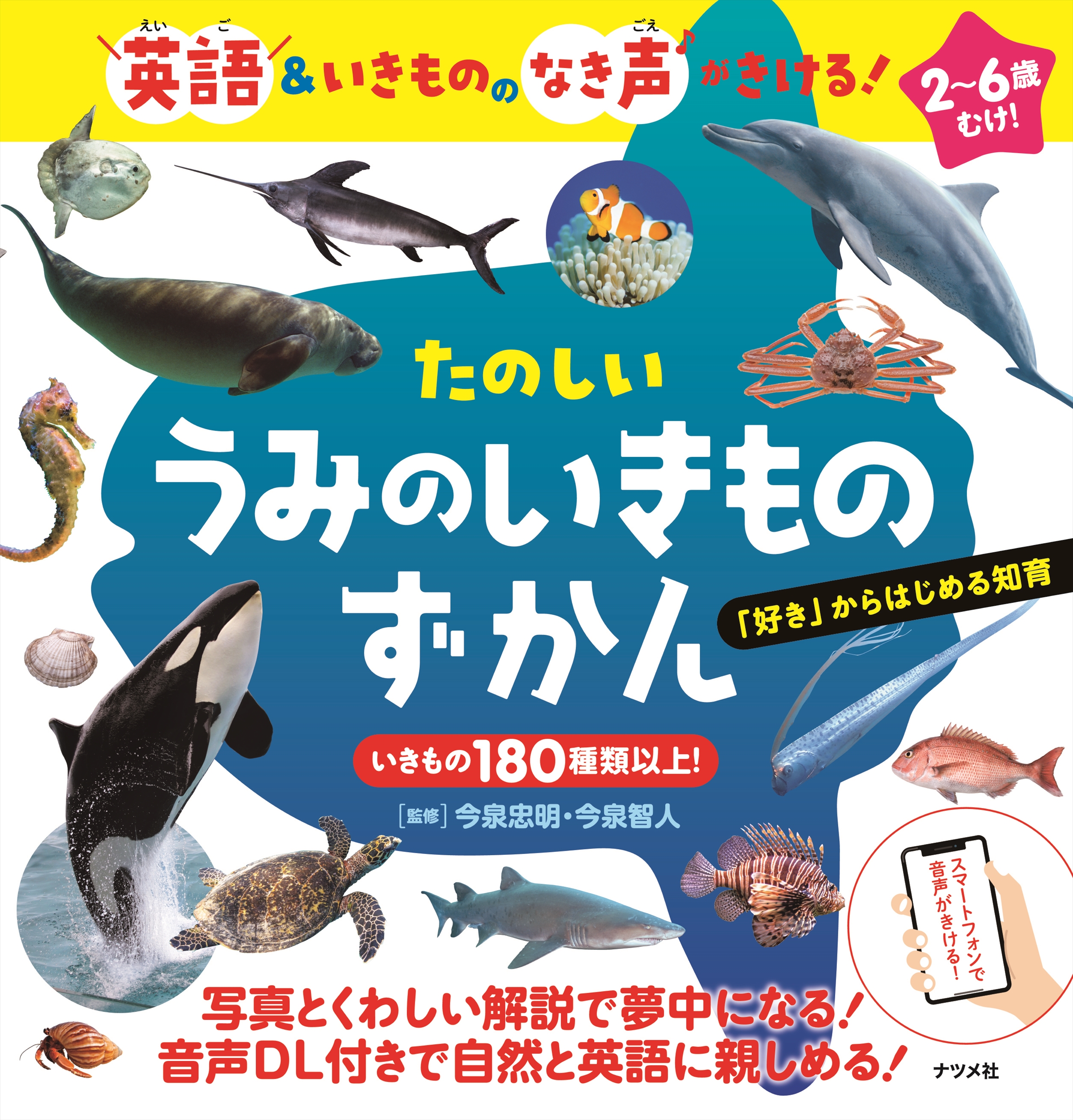 メイン画像