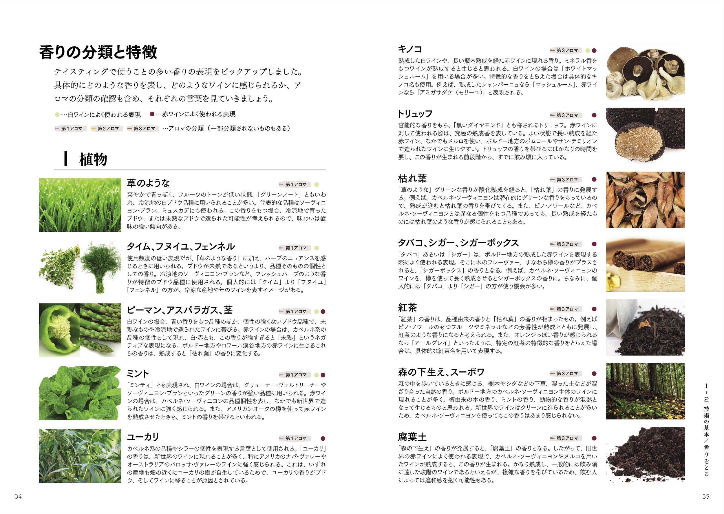 サムネイル画像2
