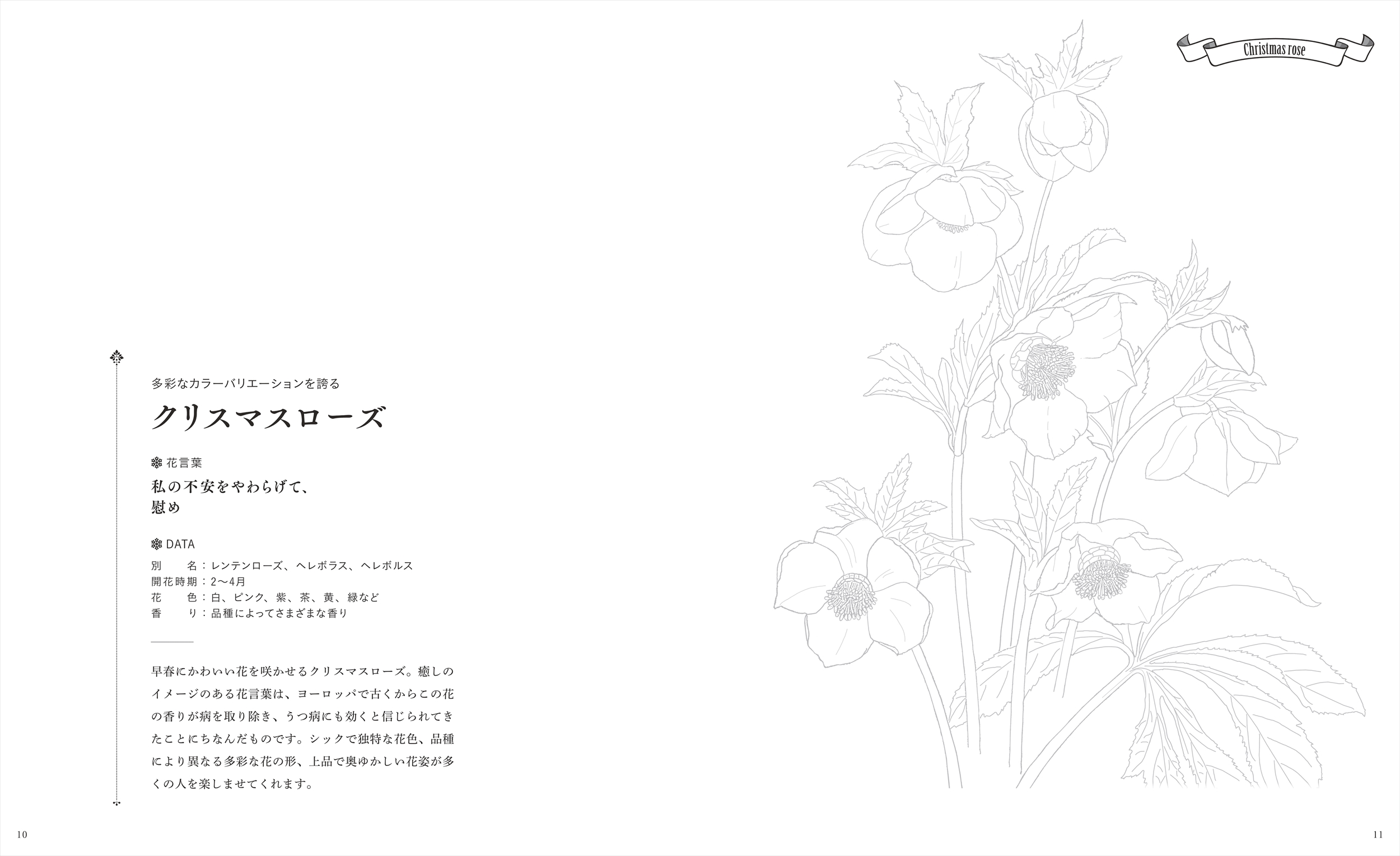 サムネイル画像2