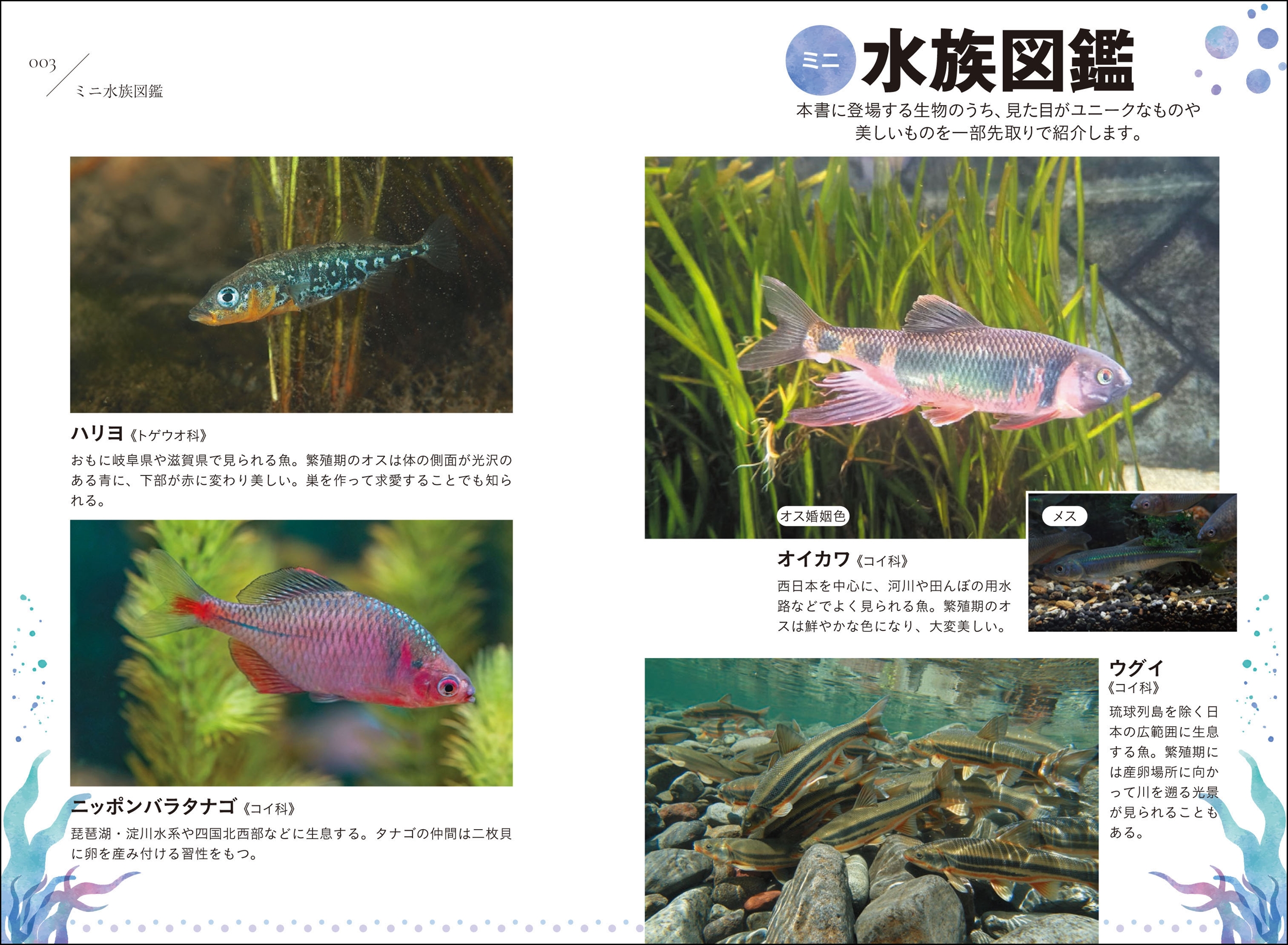 サムネイル画像1