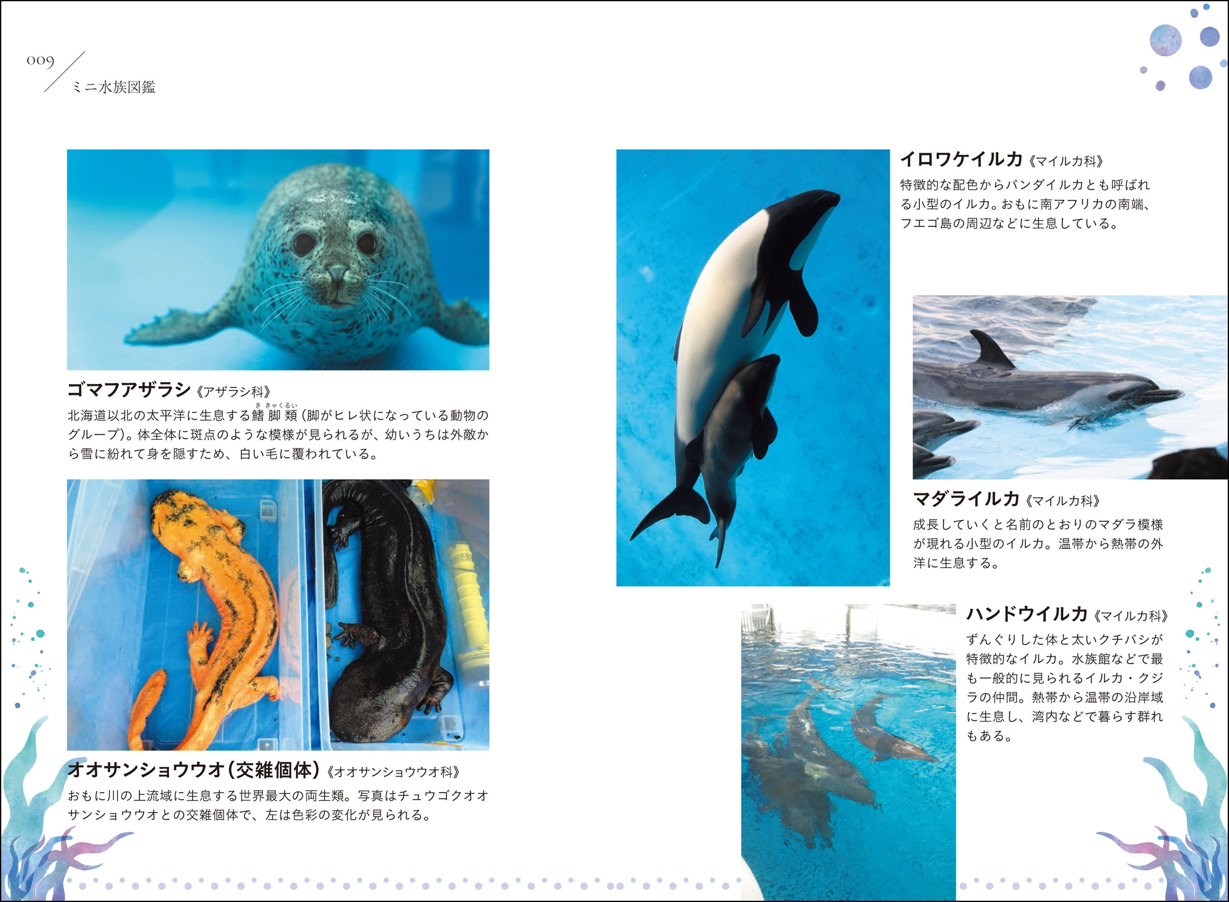 サムネイル画像2