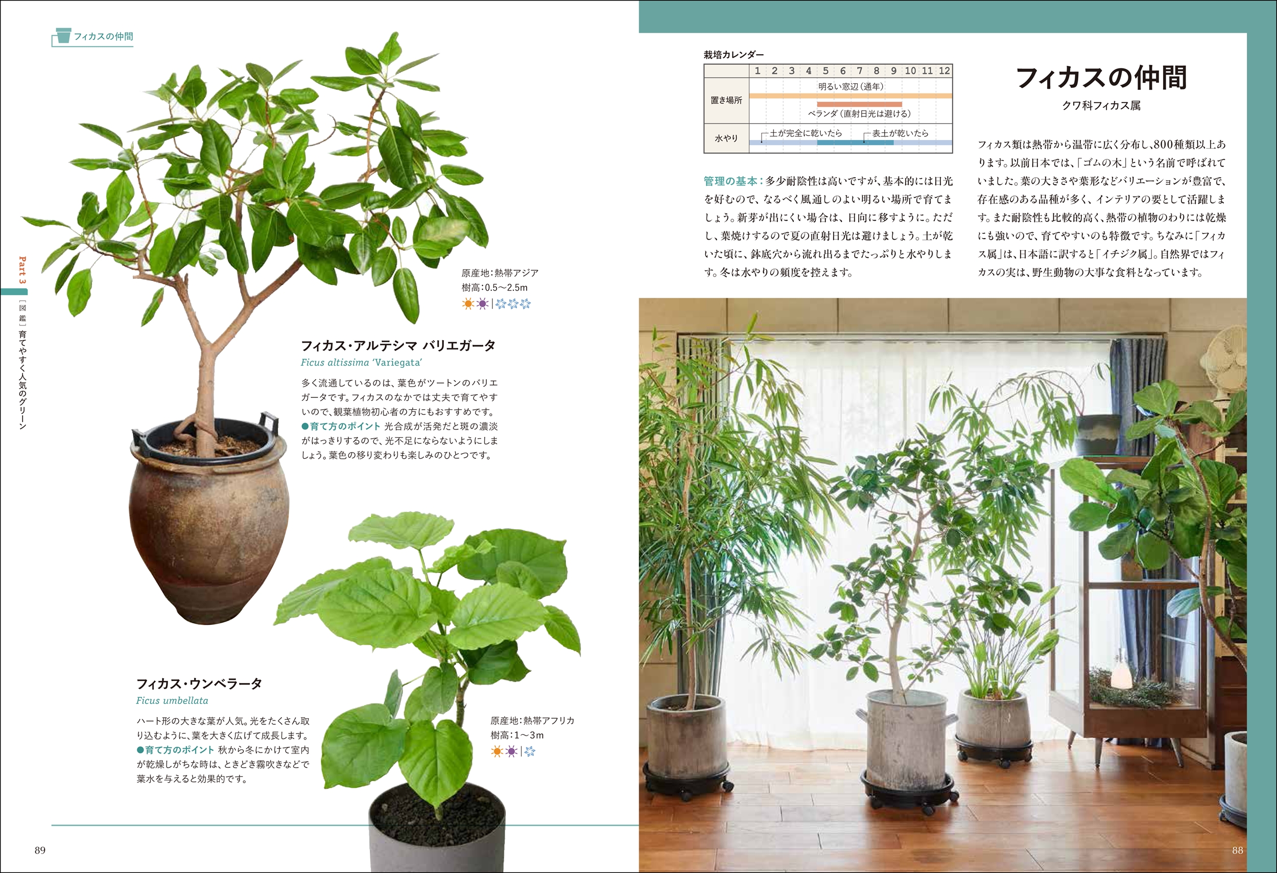 サムネイル画像3