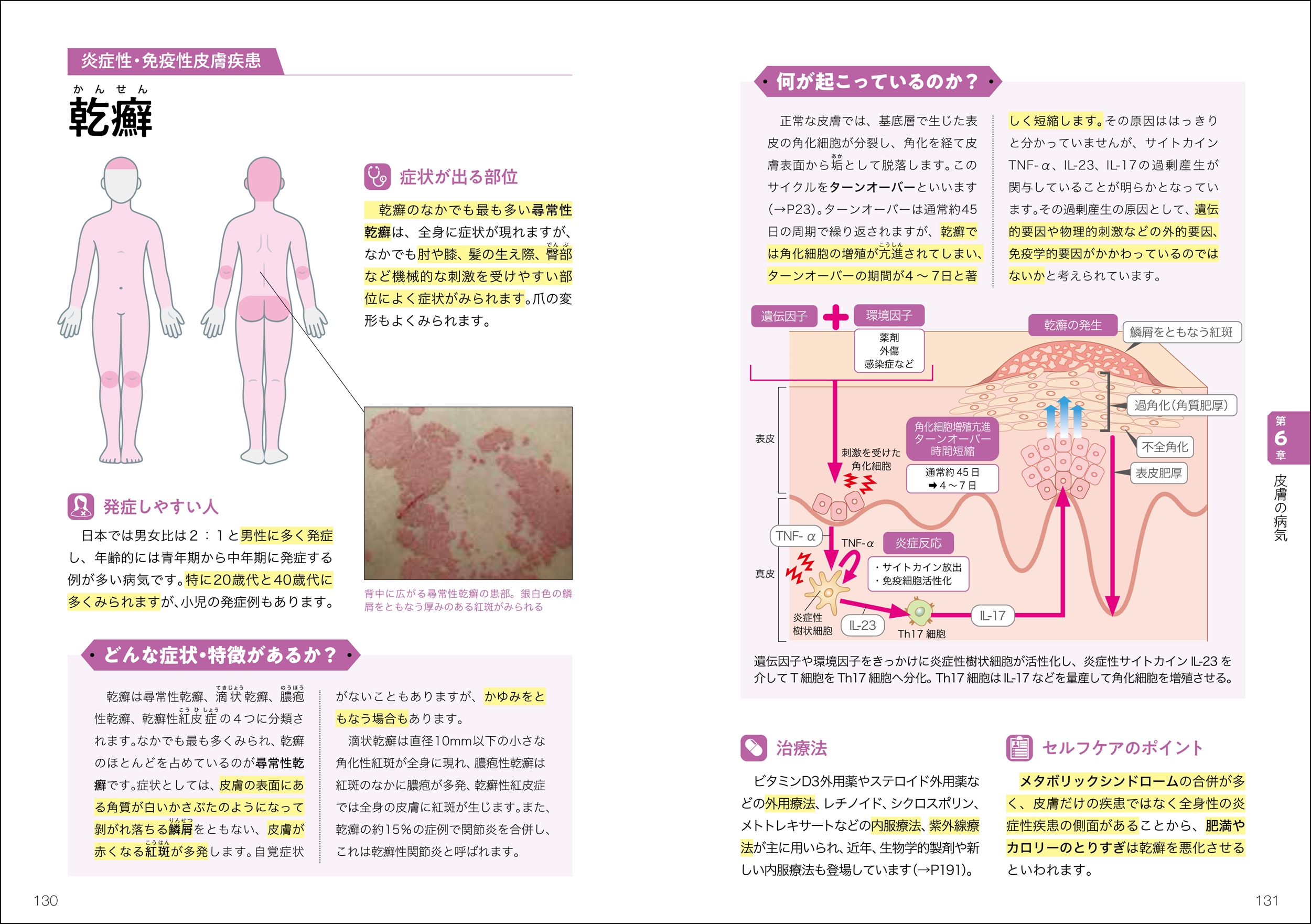 サムネイル画像5