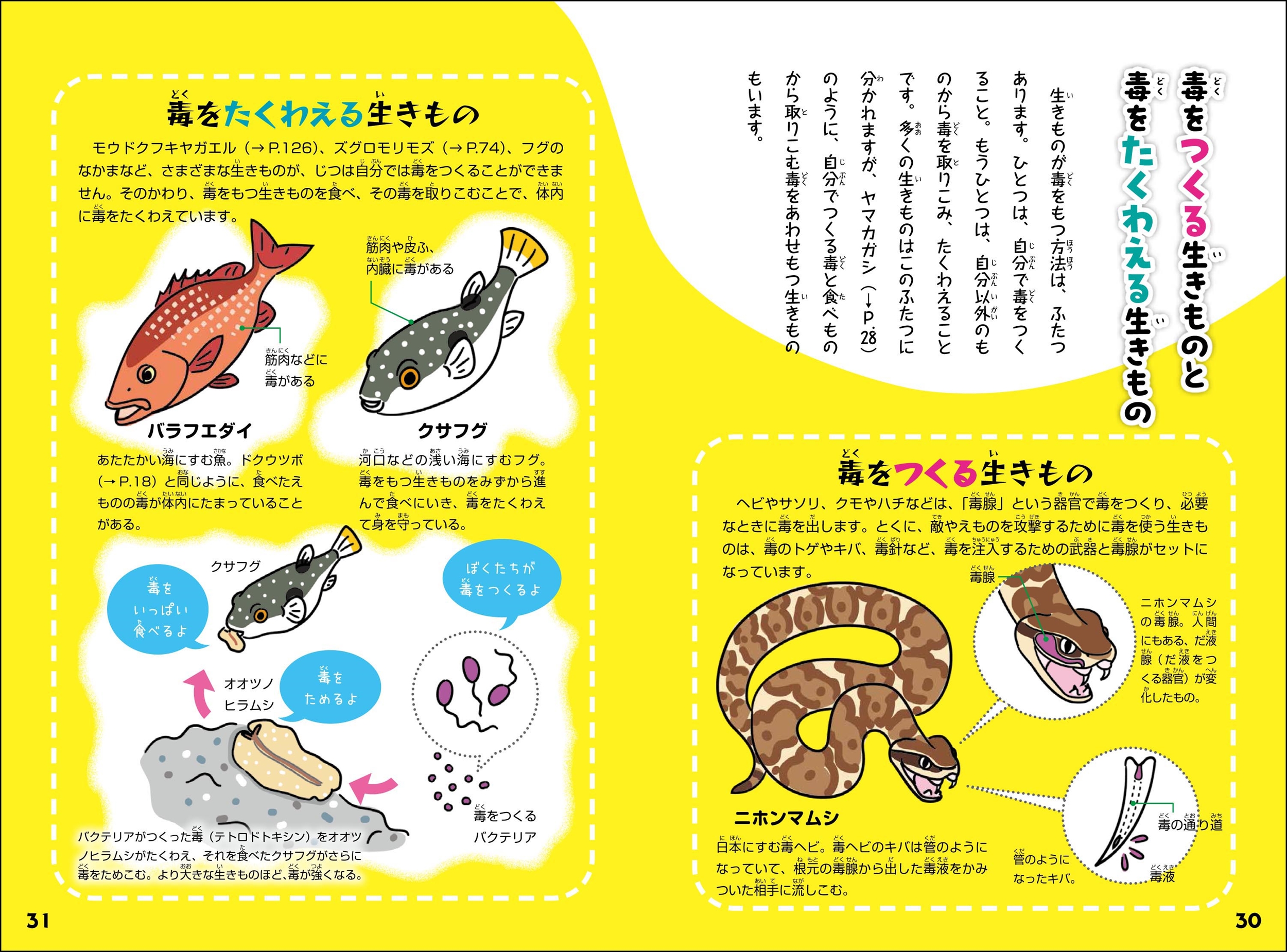 サムネイル画像2