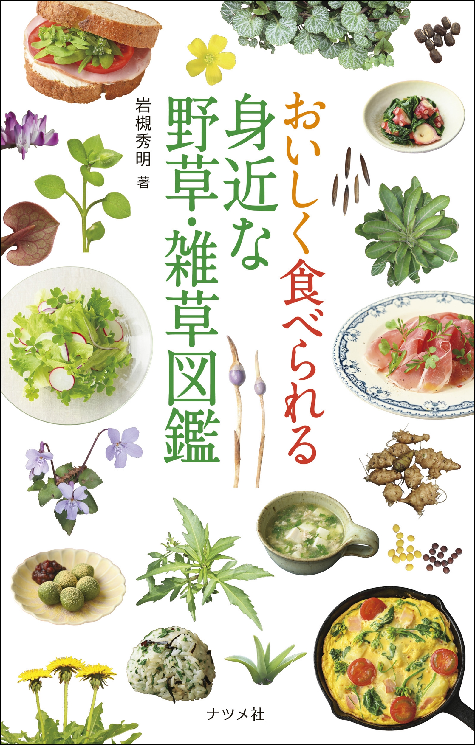 サムネイル画像1