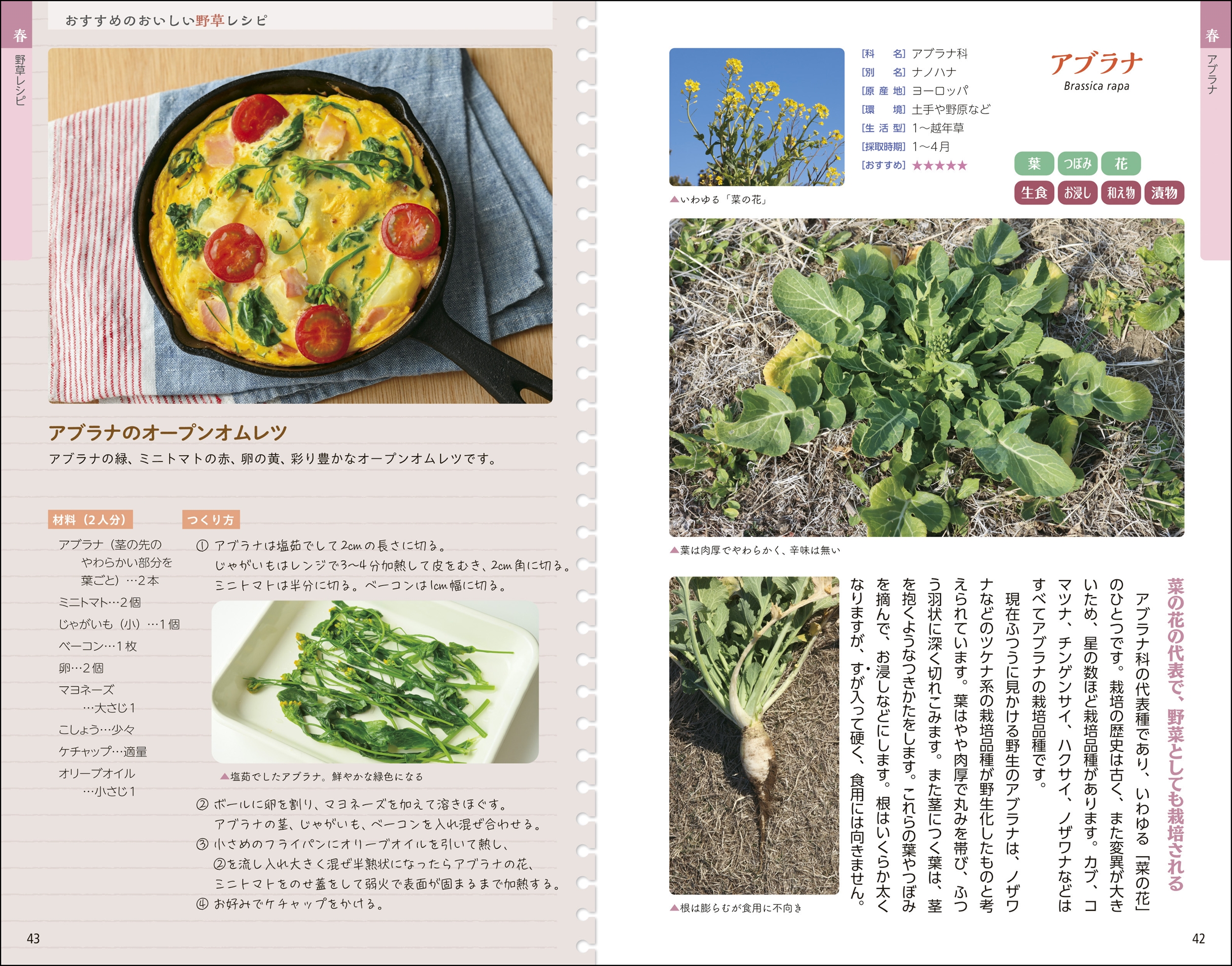 サムネイル画像2
