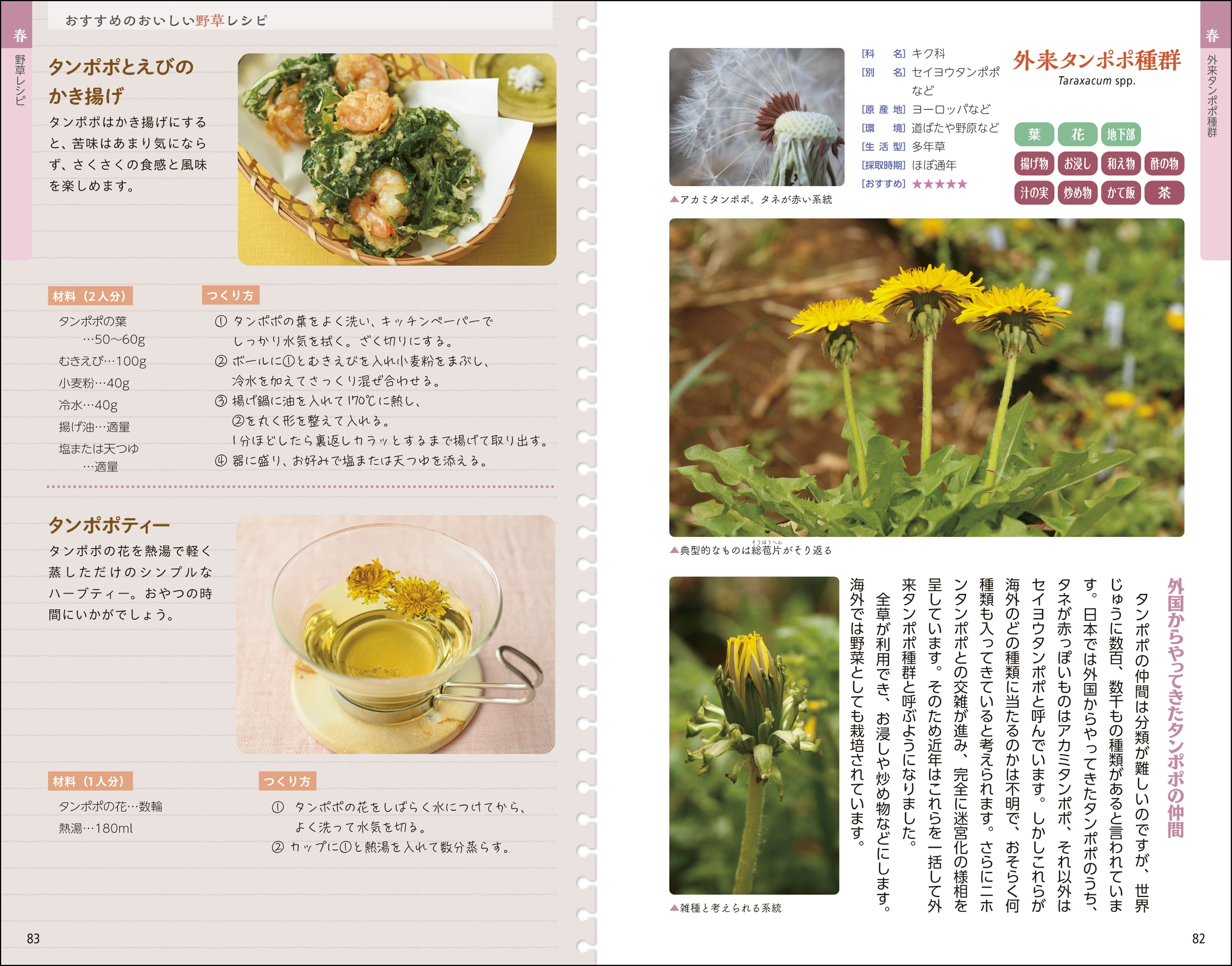 サムネイル画像3