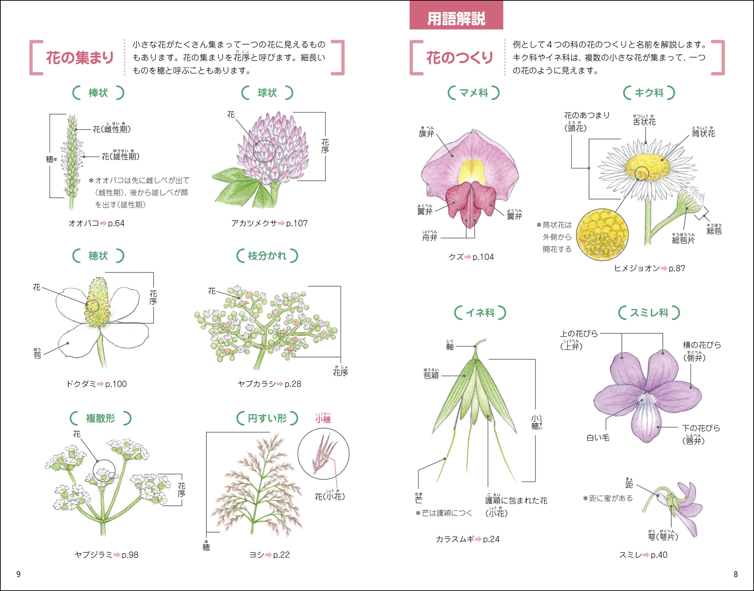 サムネイル画像5