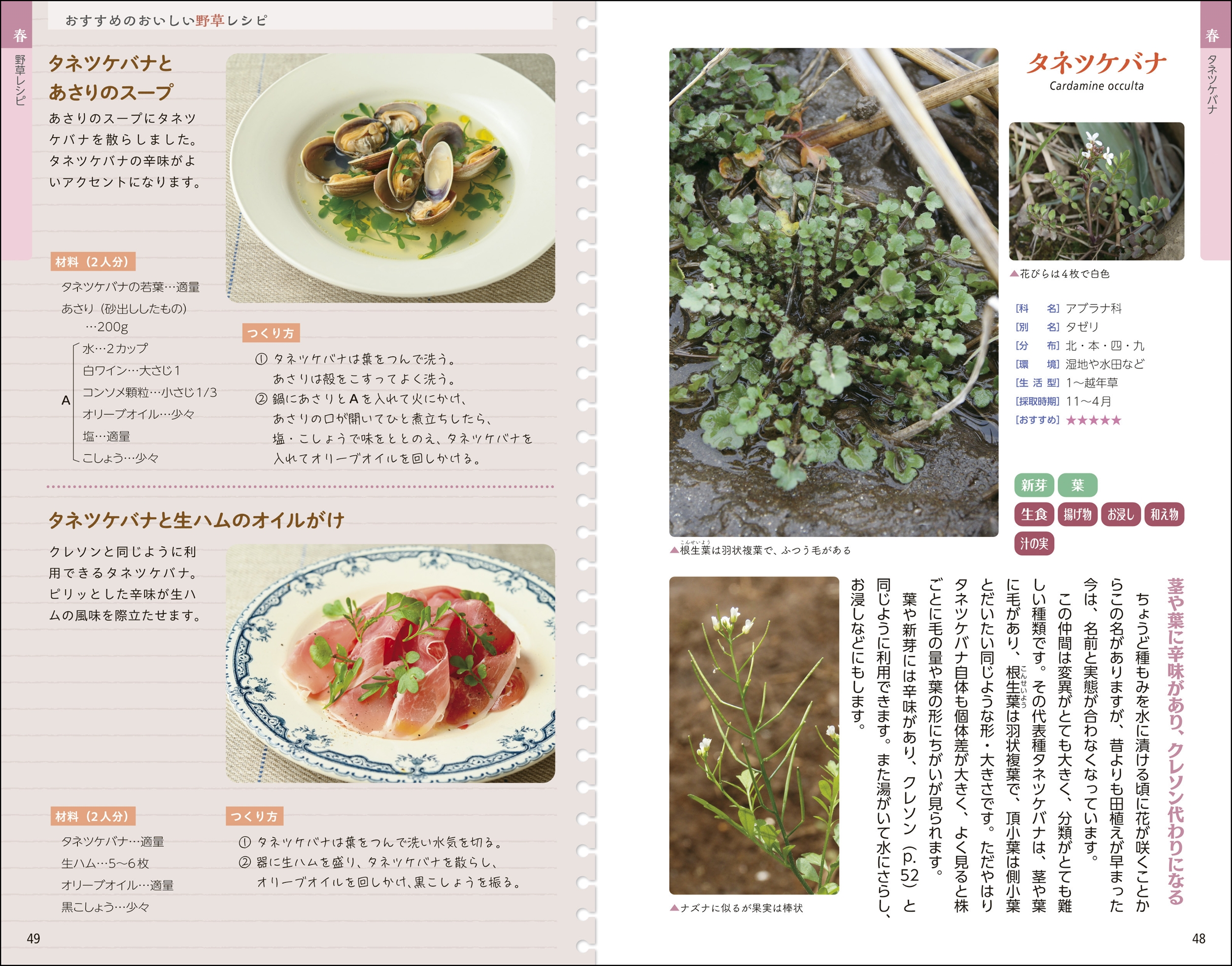 サムネイル画像7