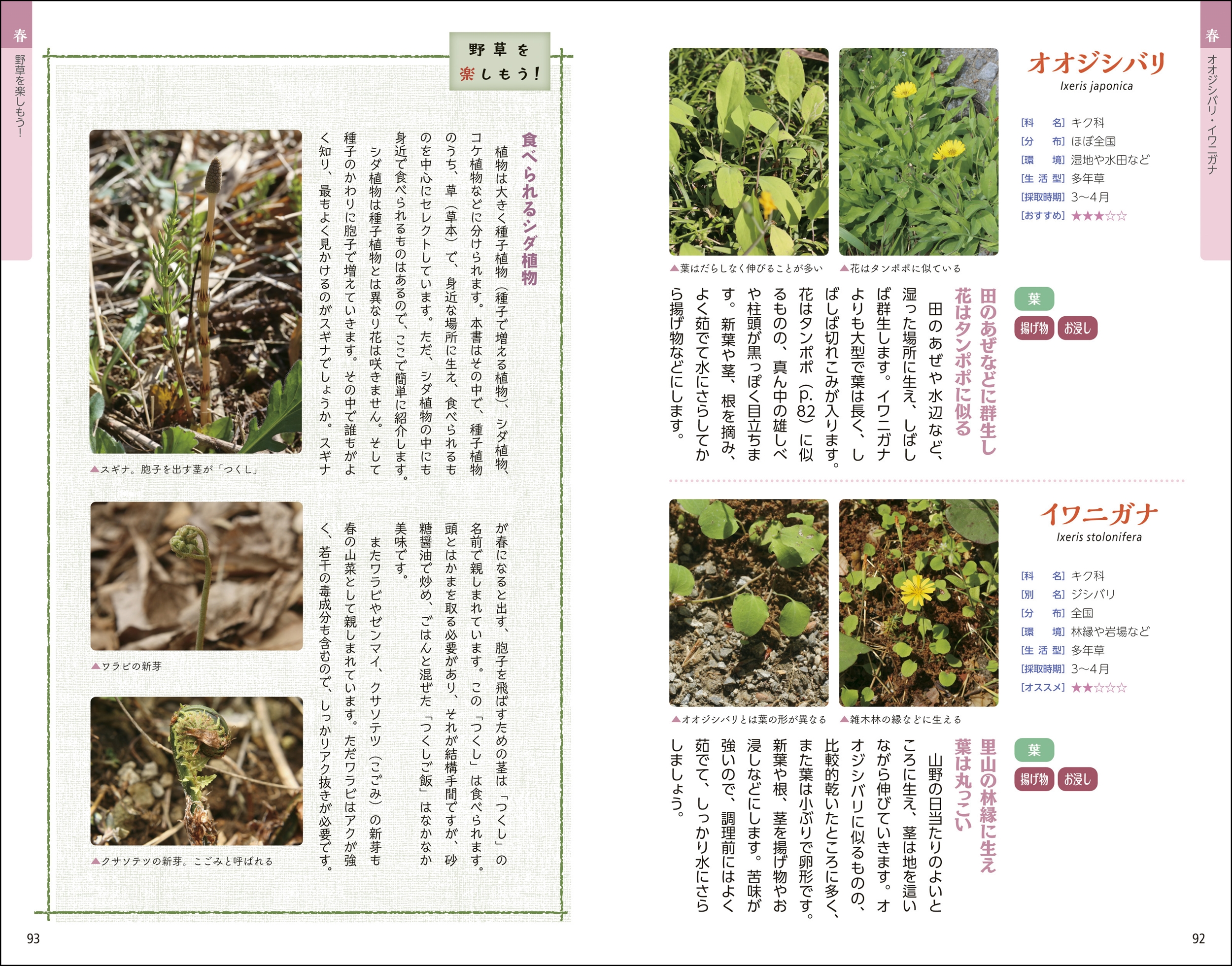 サムネイル画像8