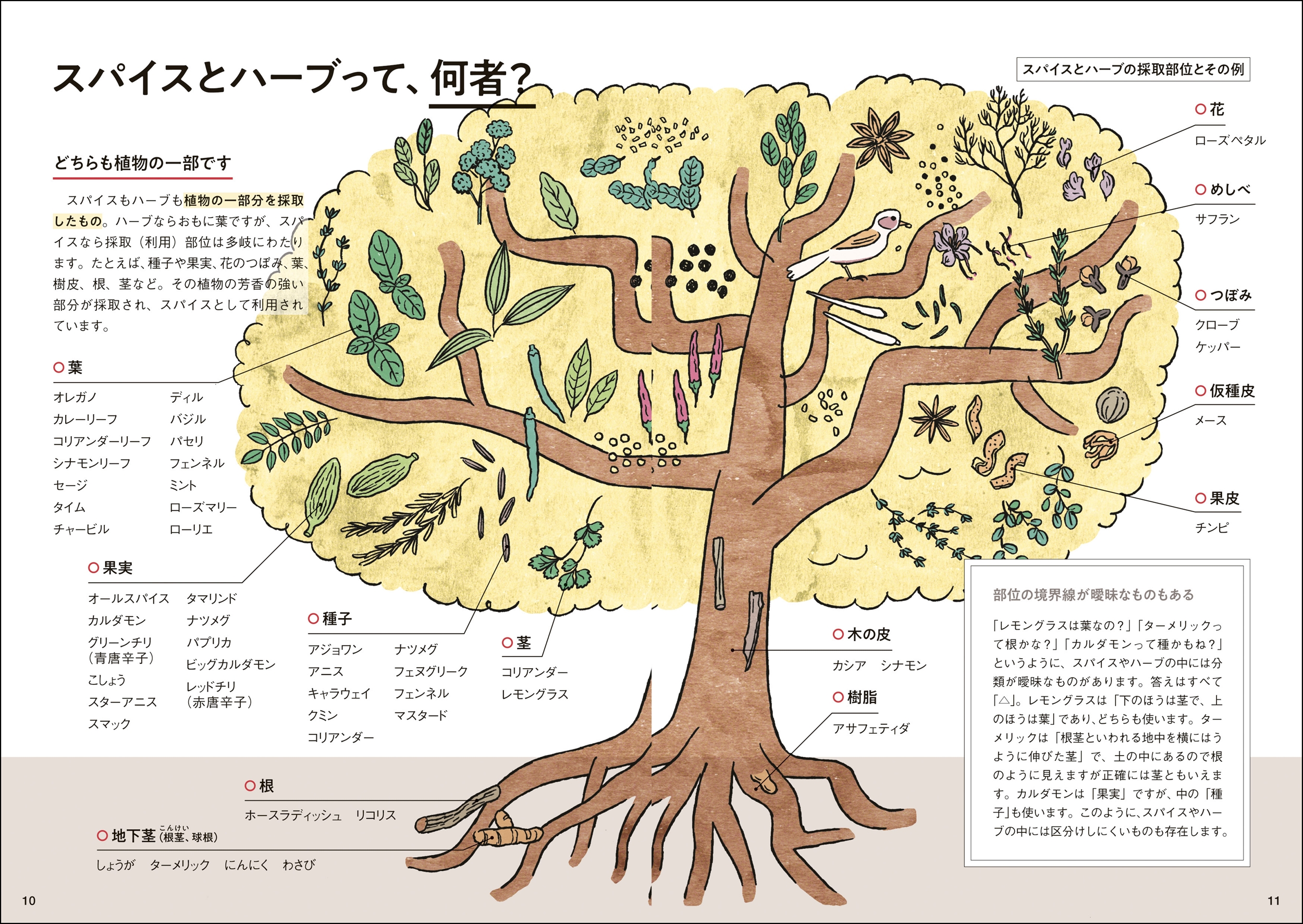 サムネイル画像2