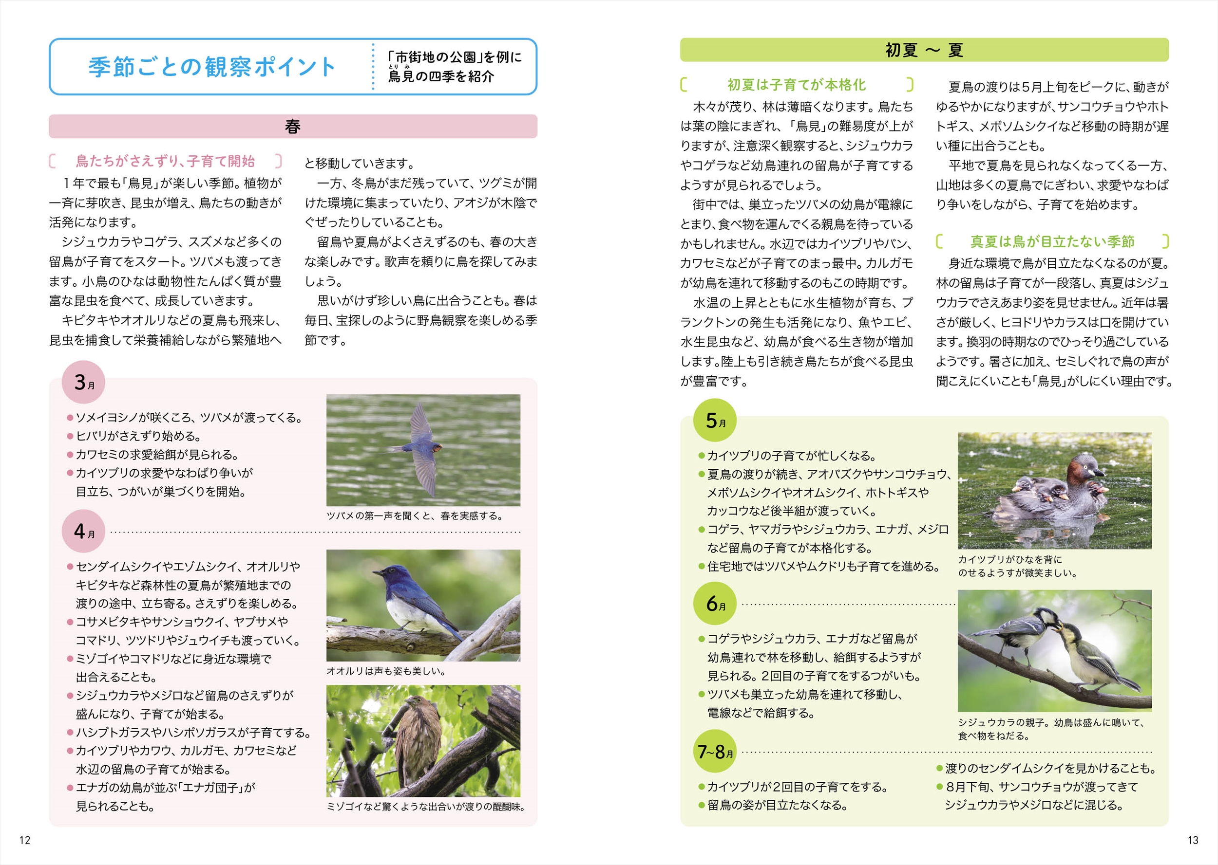 サムネイル画像2