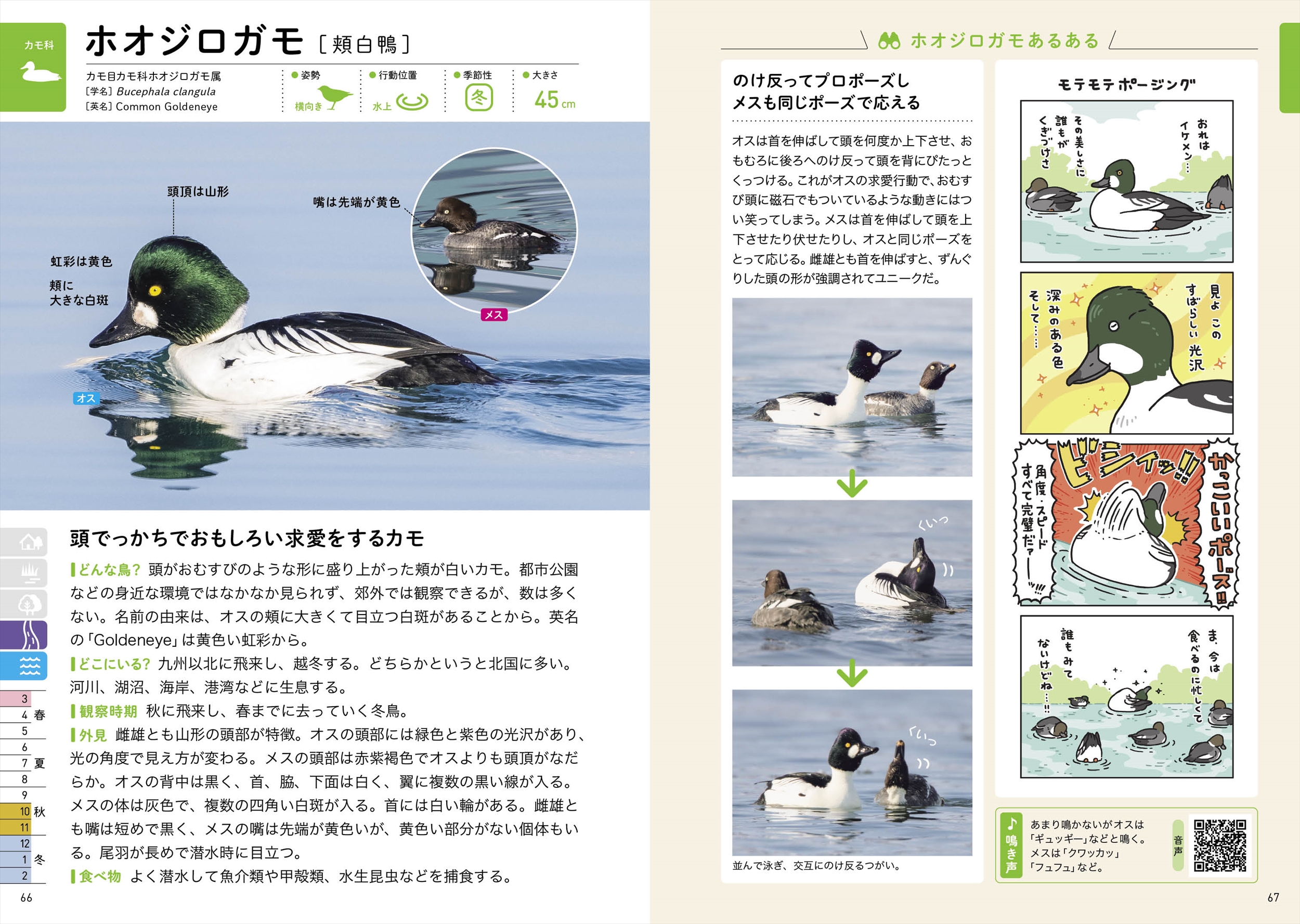 サムネイル画像5