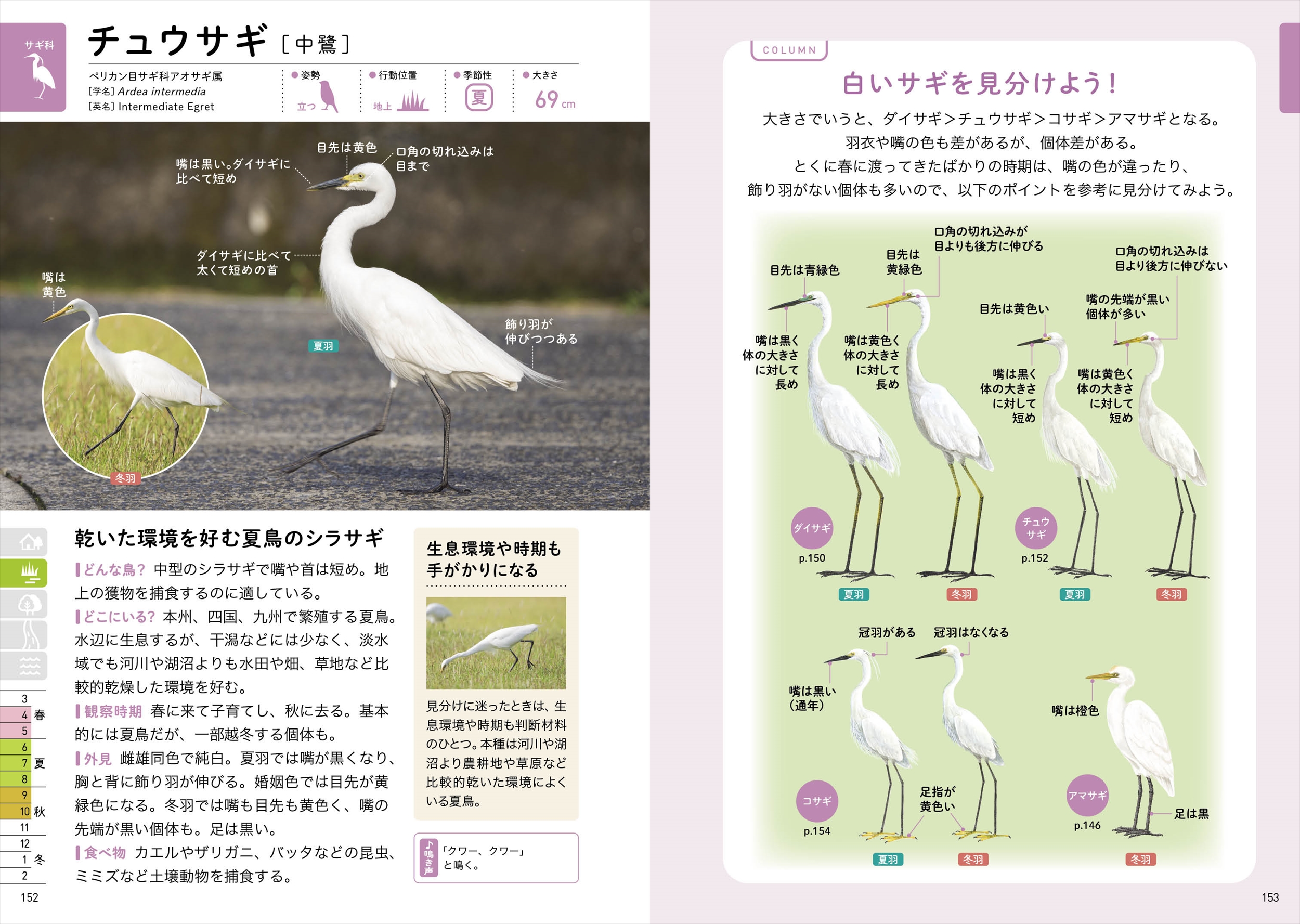 サムネイル画像6