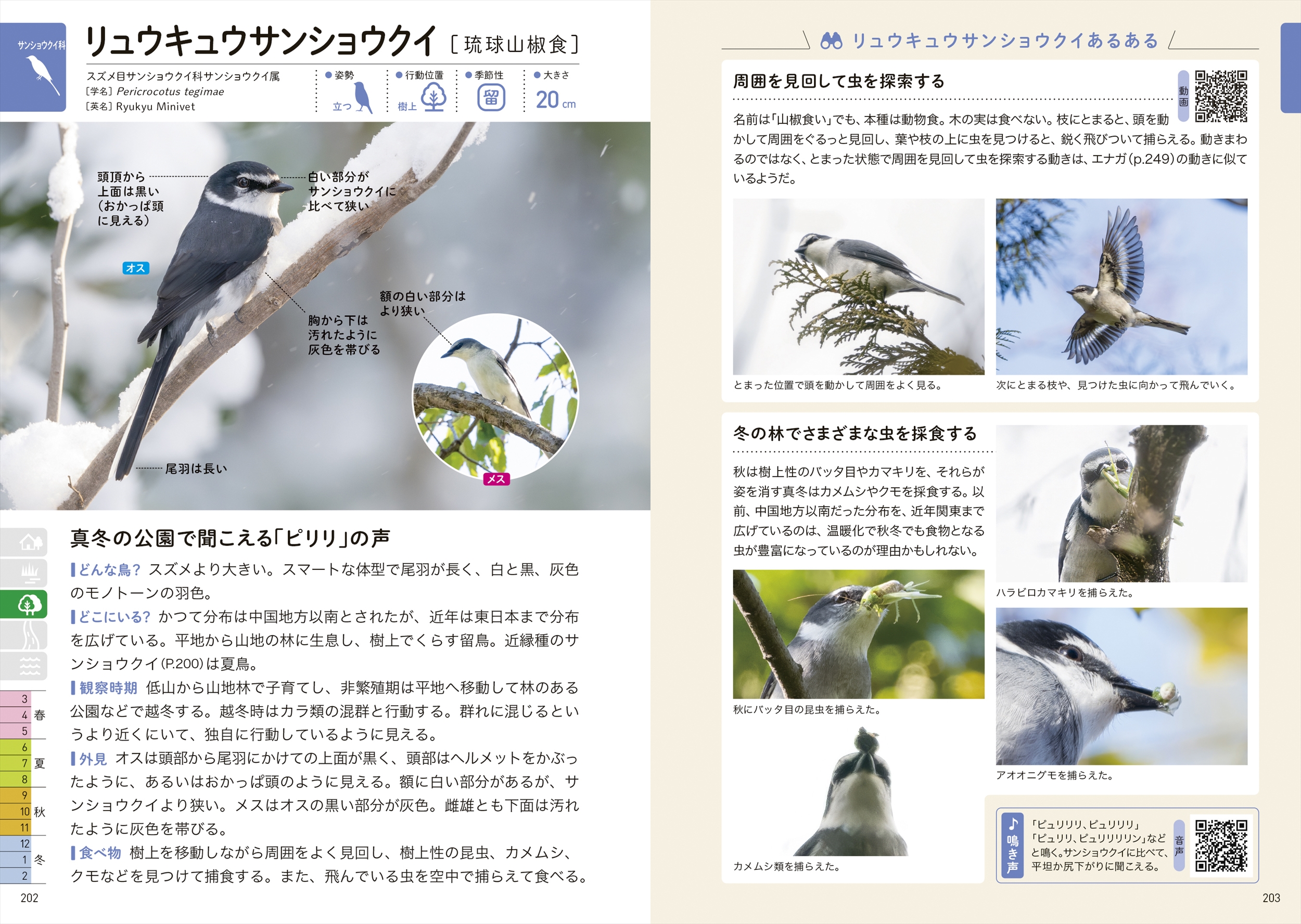 サムネイル画像7