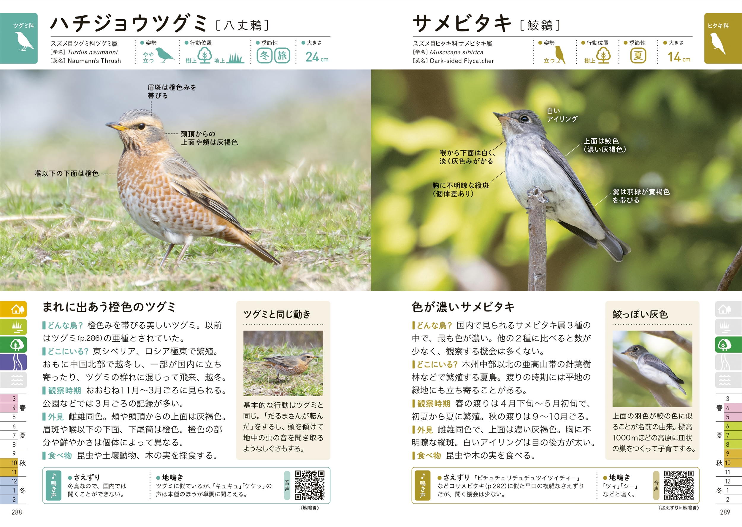 サムネイル画像8