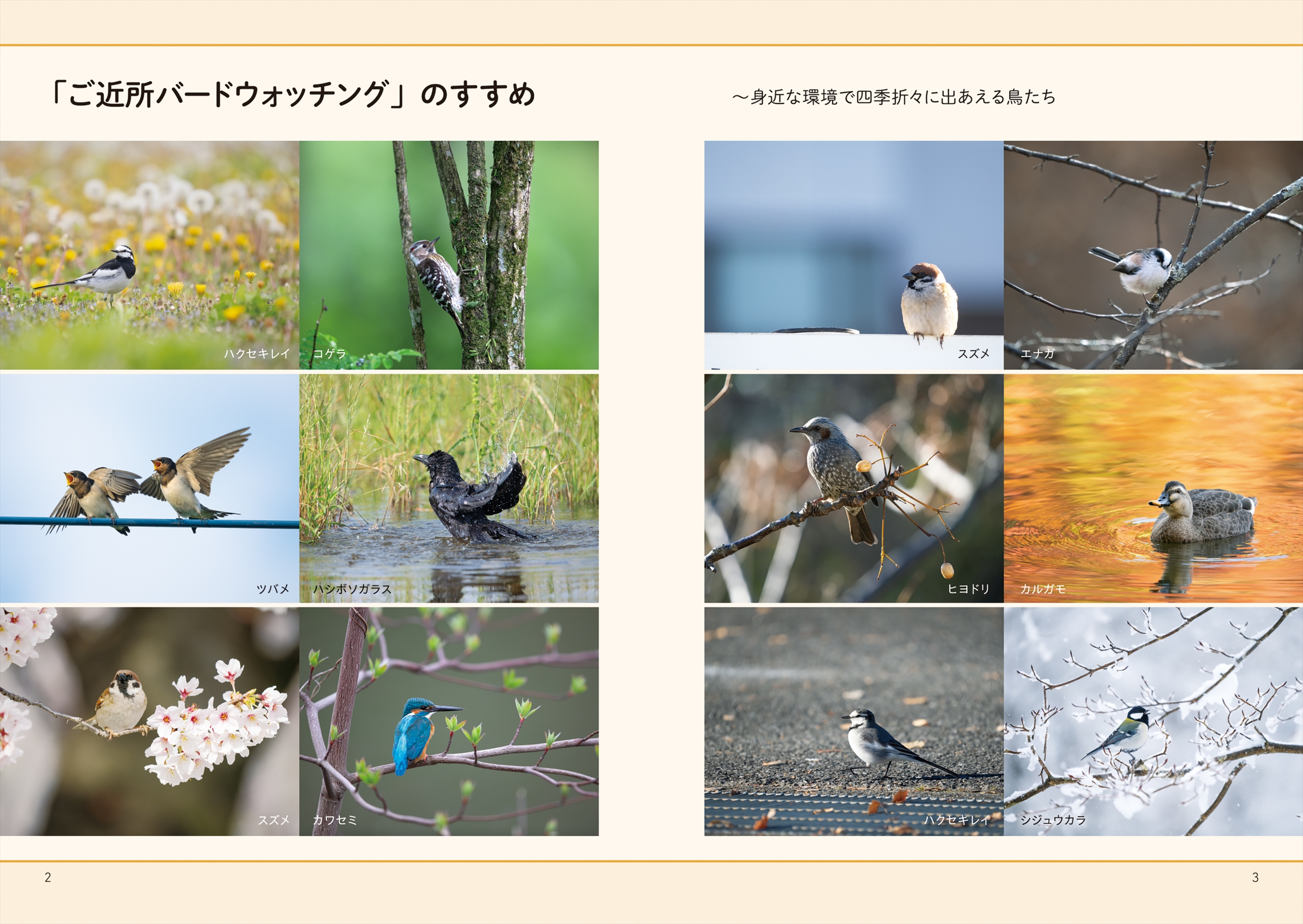 サムネイル画像2
