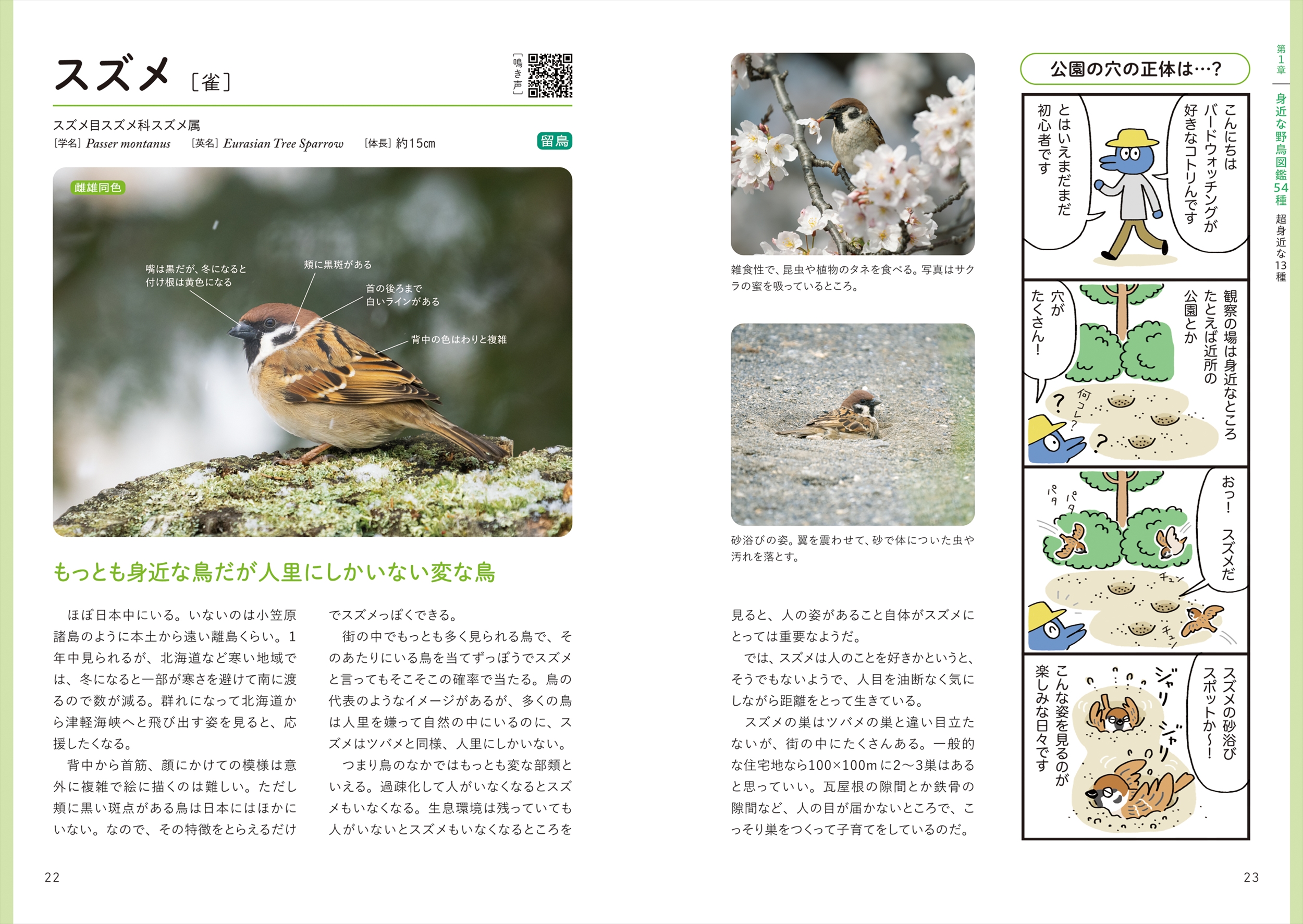 サムネイル画像3