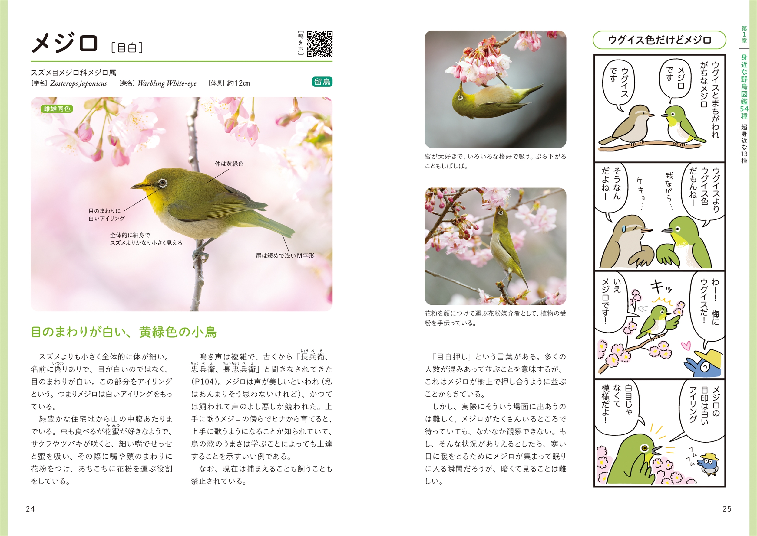 サムネイル画像4