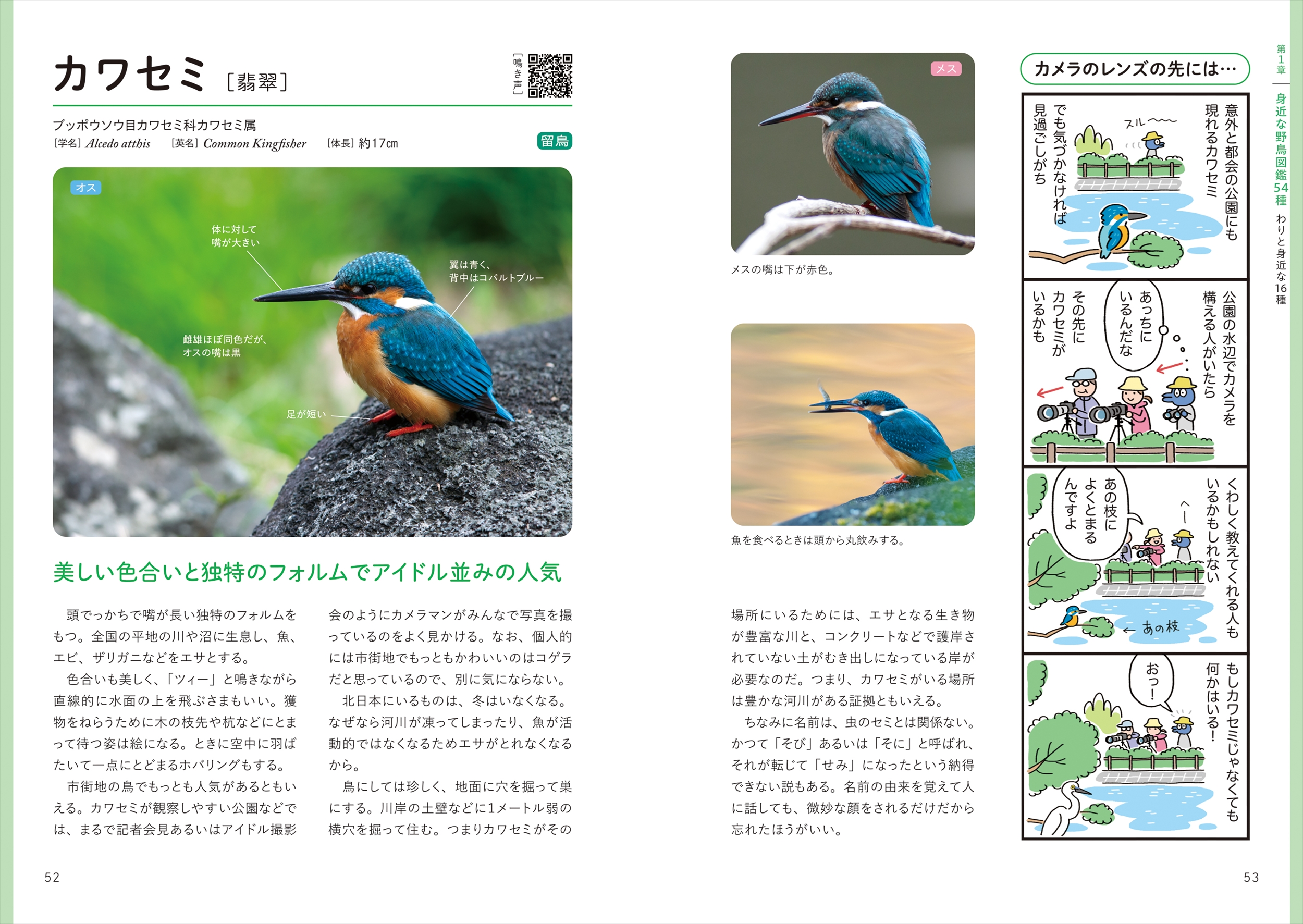 サムネイル画像5
