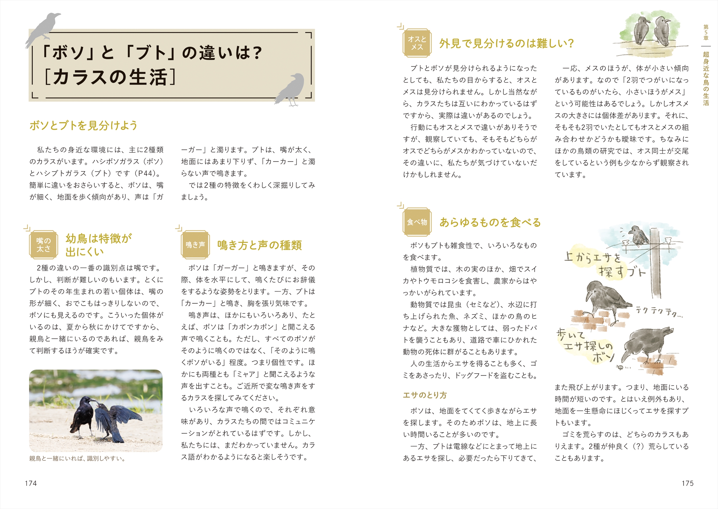 サムネイル画像8